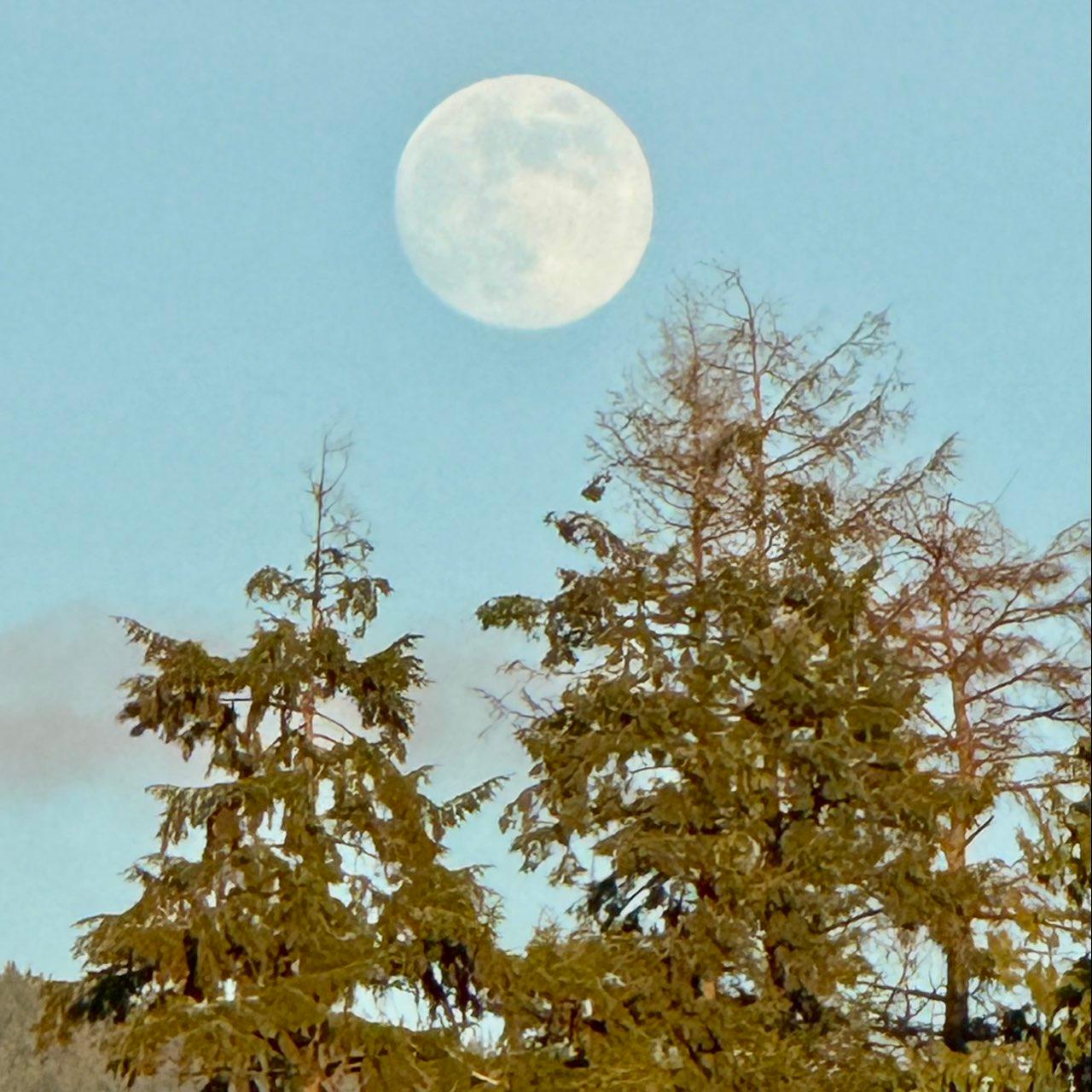 The Moon over Sunshine Coast, Canada — full moon, Lunar Day 14