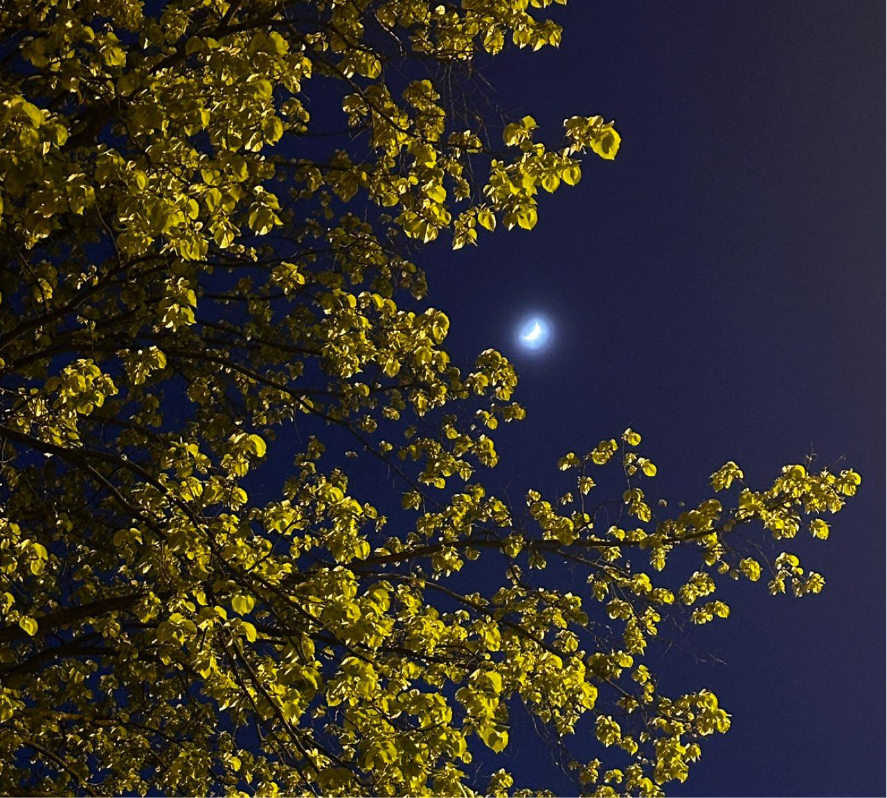 The Moon over Łódź, Poland — waxing crescent, Lunar Day 6