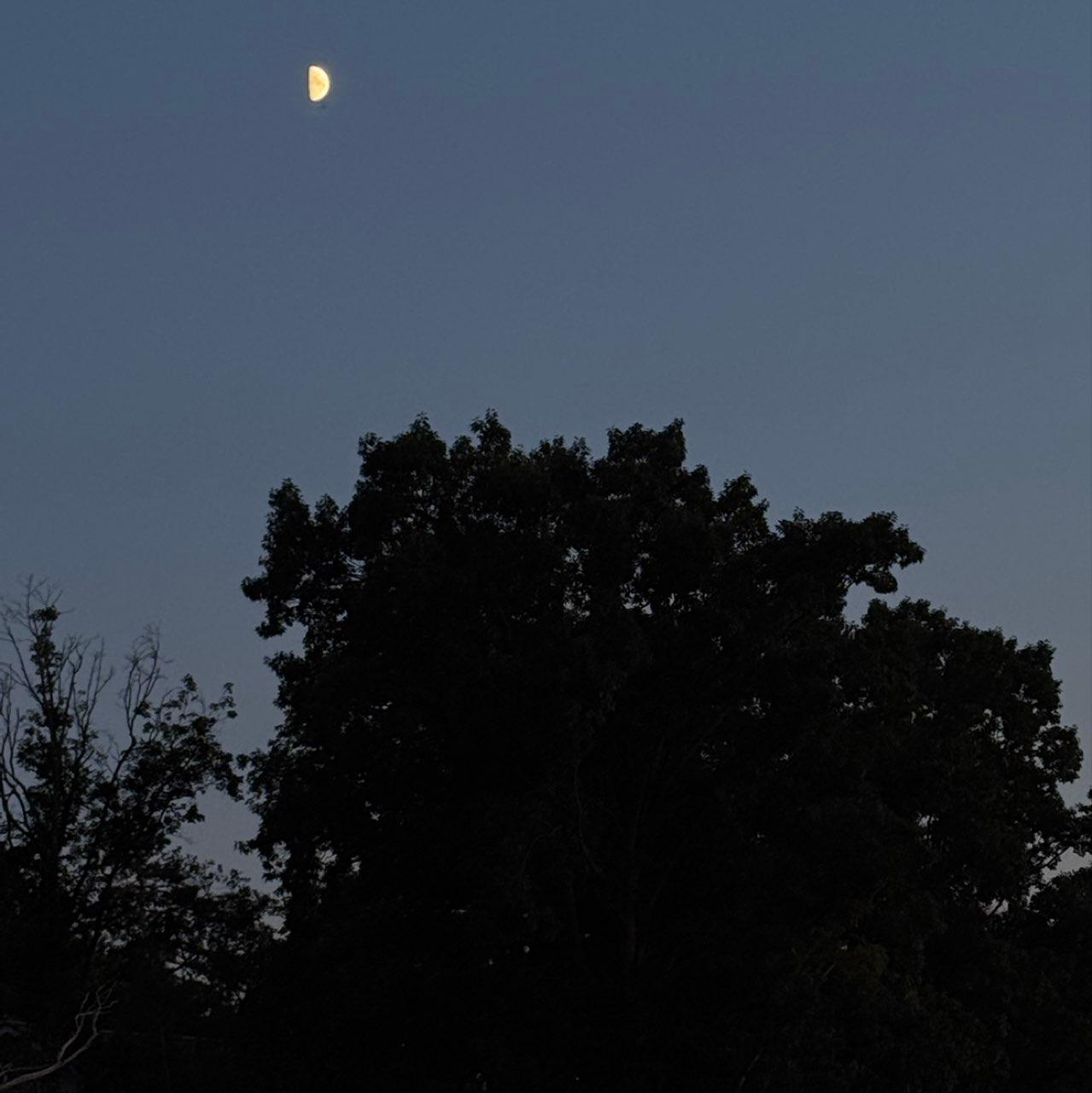 The Moon over Chesterland, United States — first quarter, Lunar Day 9