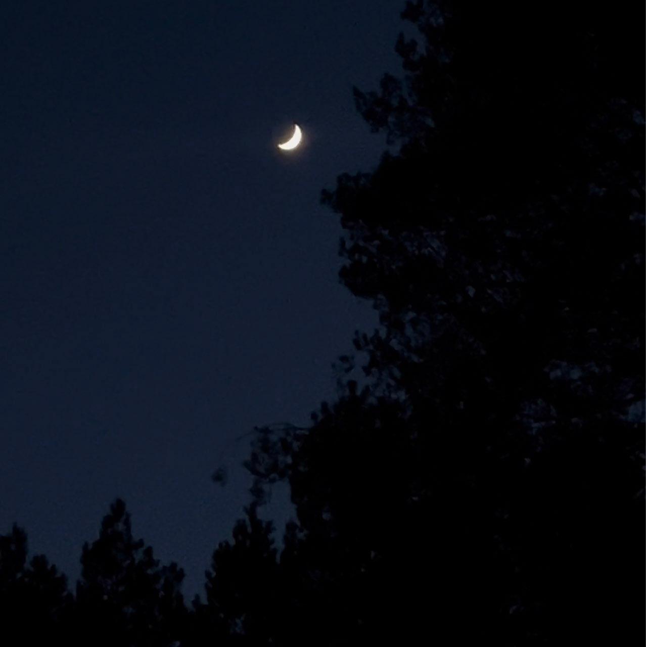 The Moon over Moscow, Russia — waxing crescent, Lunar Day 5