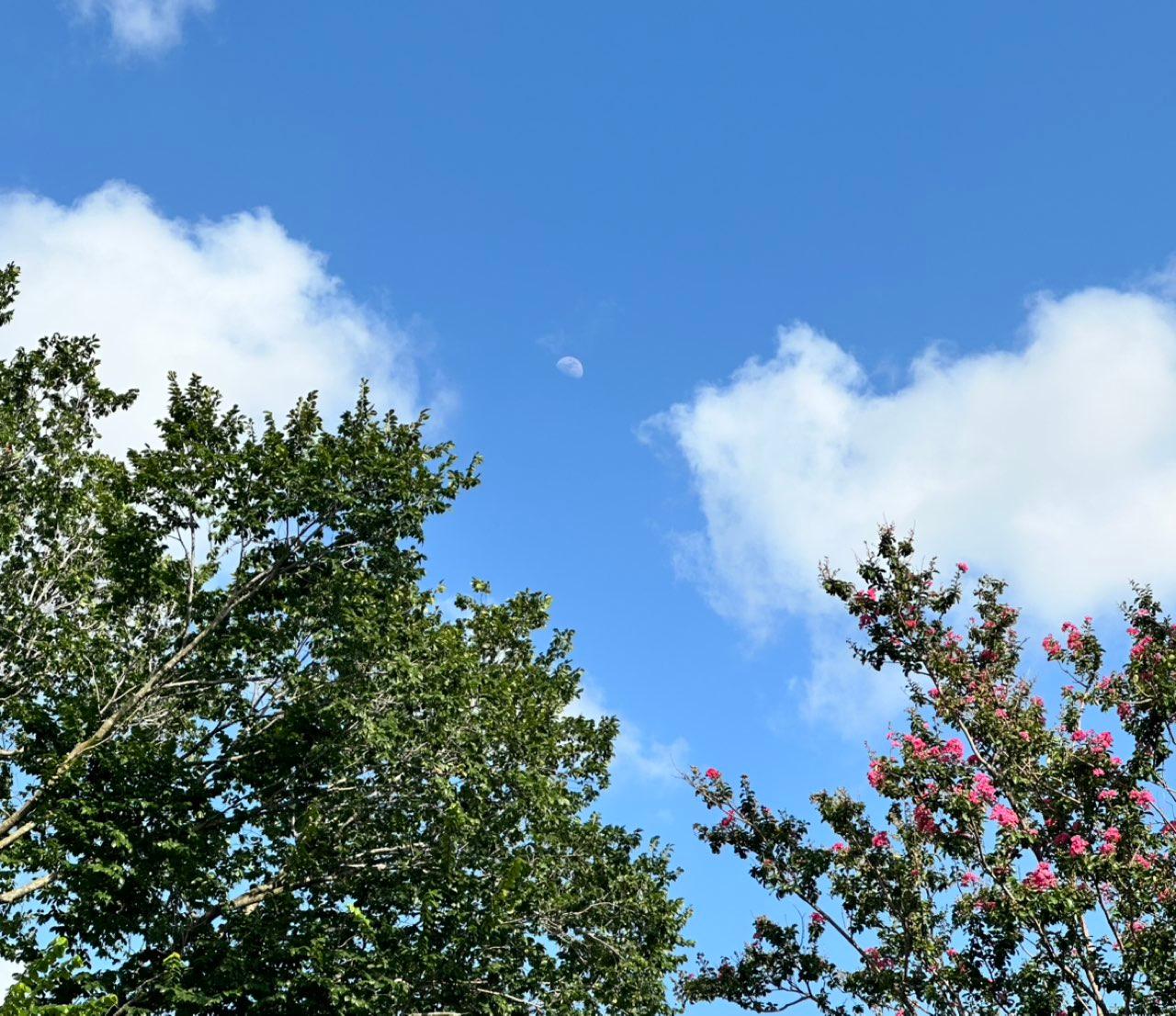 The Moon over Houston, United States — waxing gibbous, Lunar Day 10