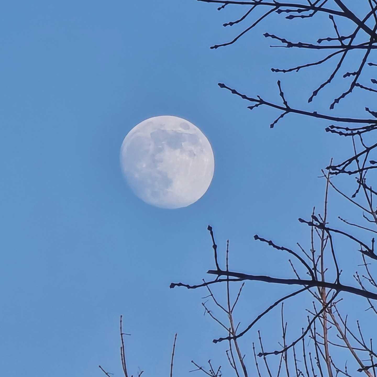 The Moon over București, Romania — waxing gibbous, Lunar Day 14