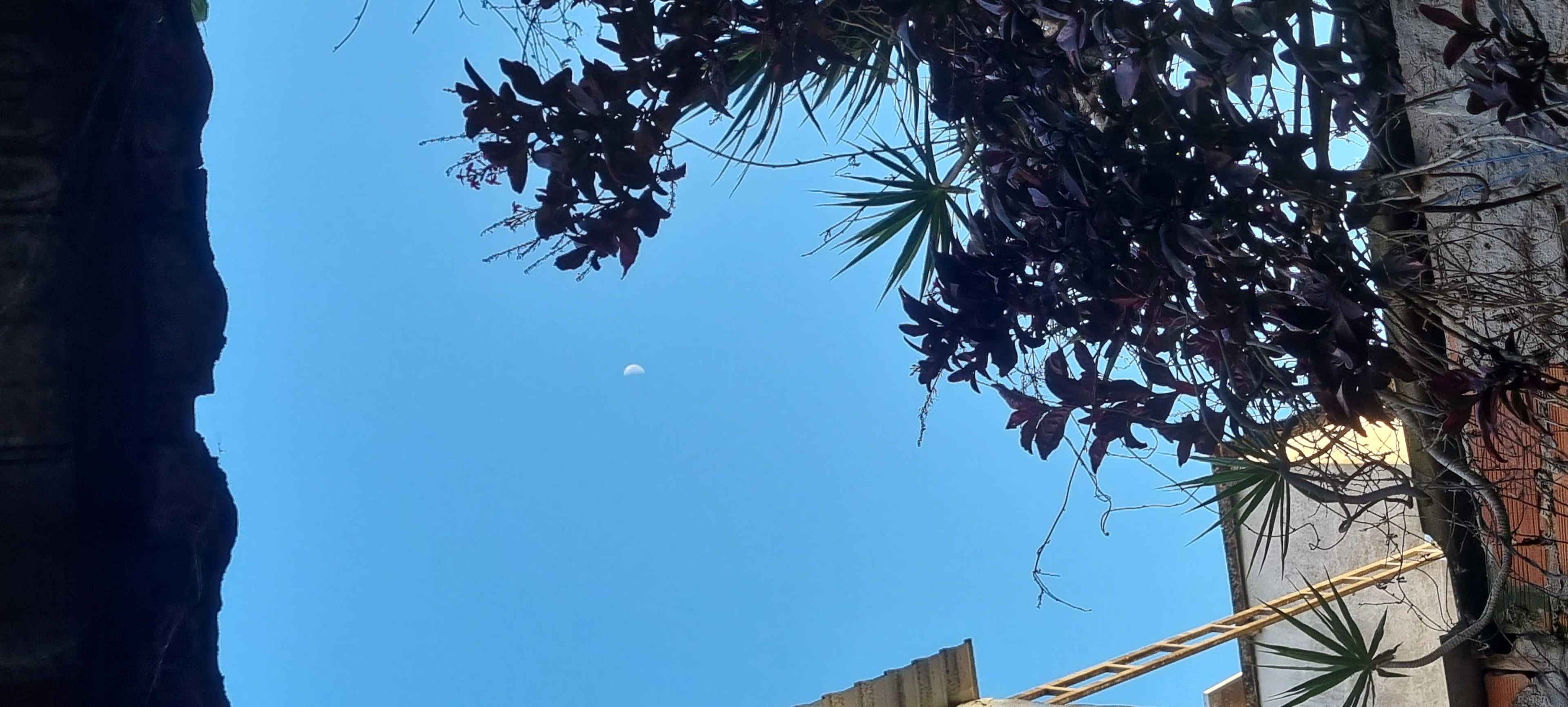 The Moon over Brasil — last quarter, Lunar Day 23