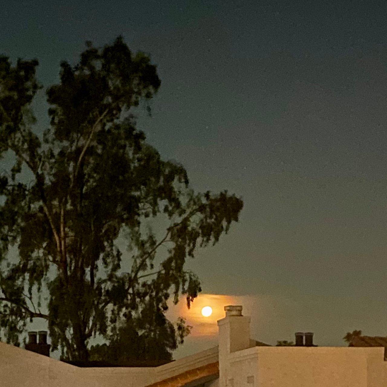 The Moon over Phoenix, United States — waxing gibbous, Lunar Day 14