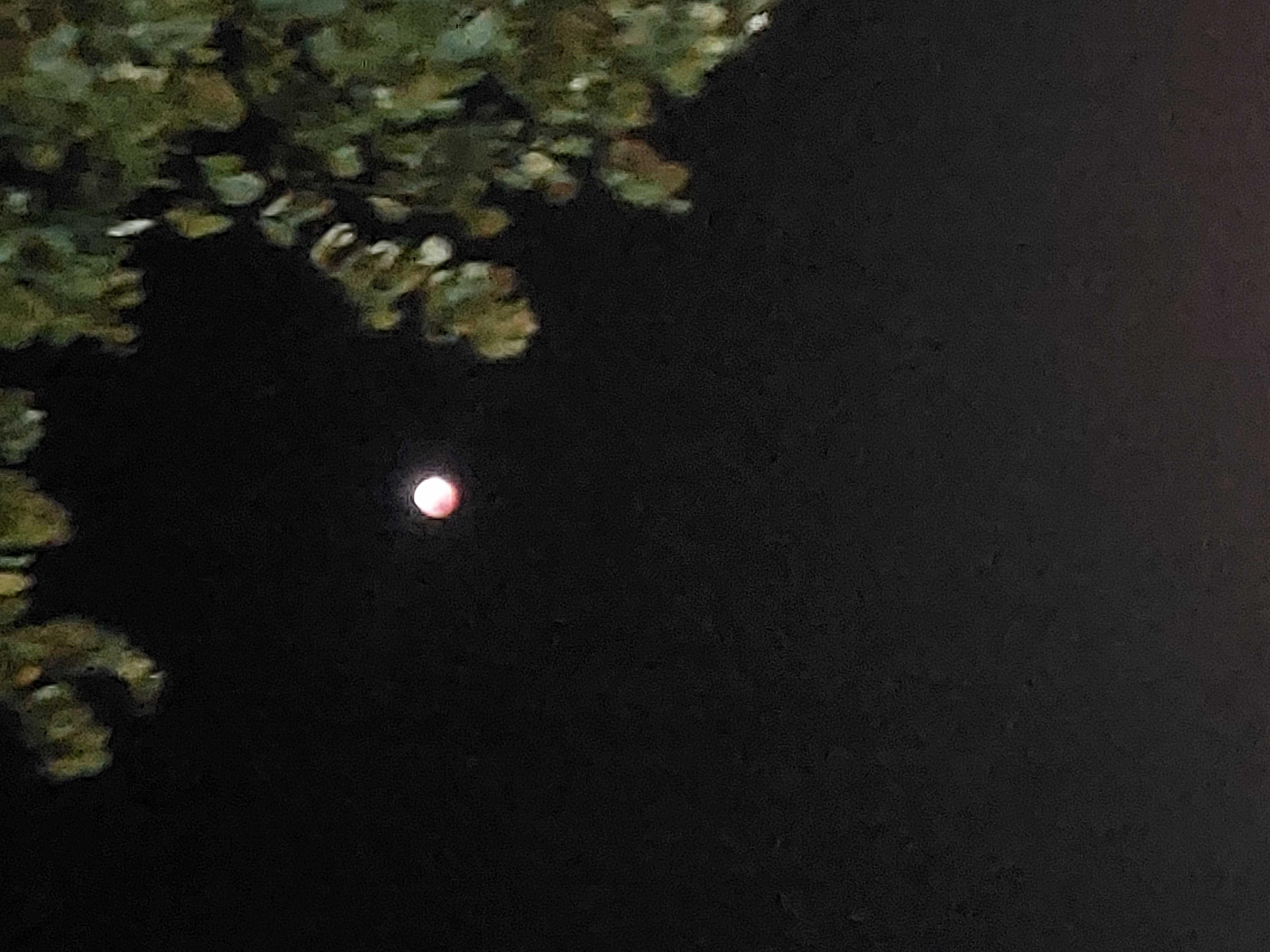 The Moon over Sanford, United States — full moon, Lunar Day 16