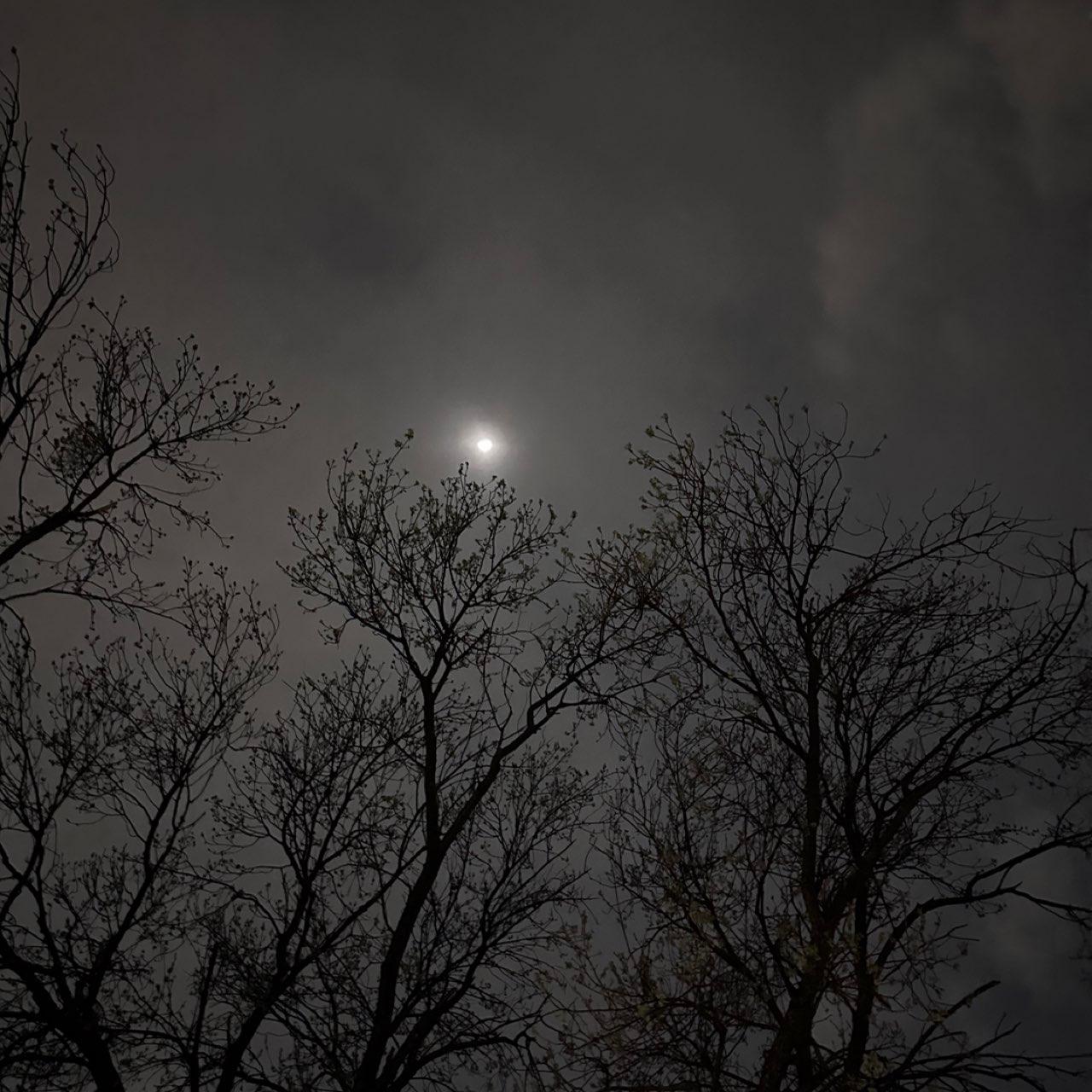 The Moon over Farmers Branch, Estados Unidos — first quarter, Lunar Day 8