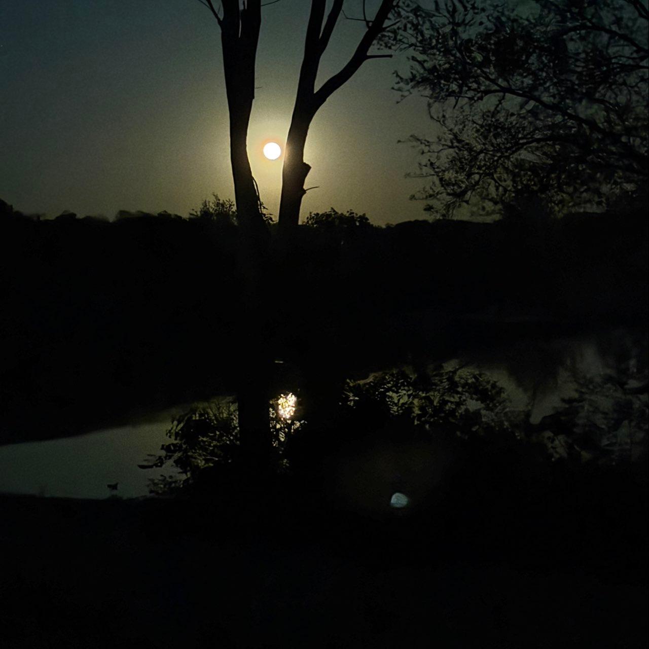 The Moon over Collinsville, United States — full moon, Lunar Day 16