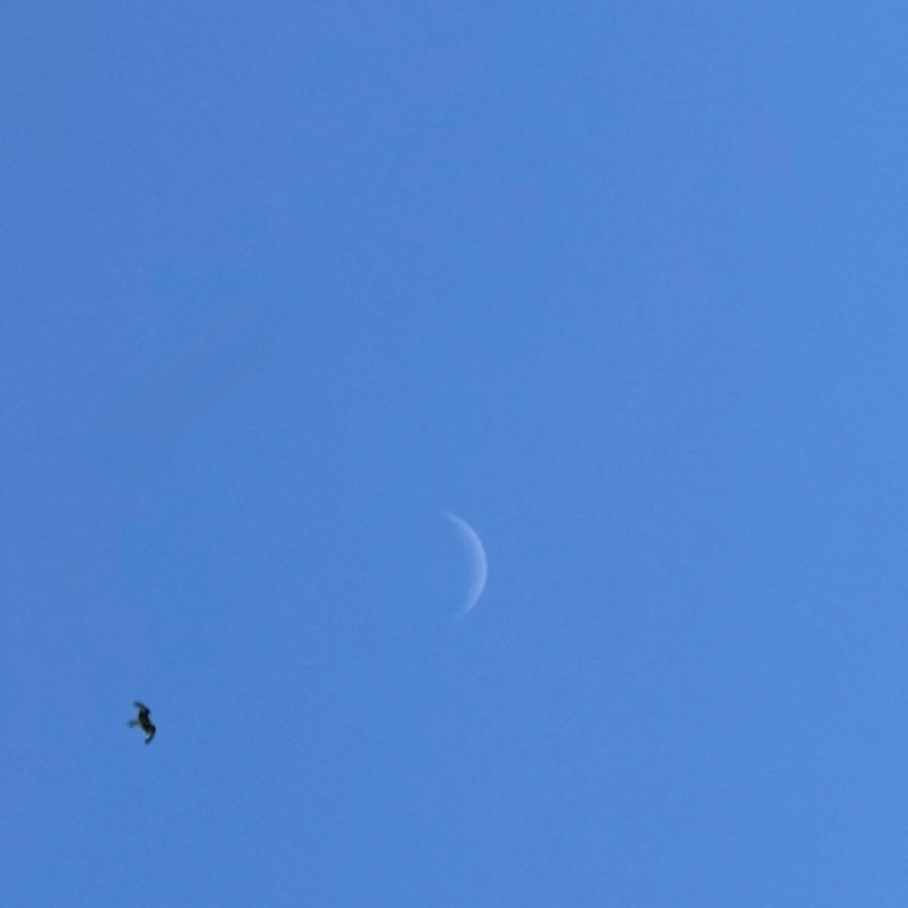 The Moon over Biberach an der Riß, Deutschland — waxing crescent, Lunar Day 5