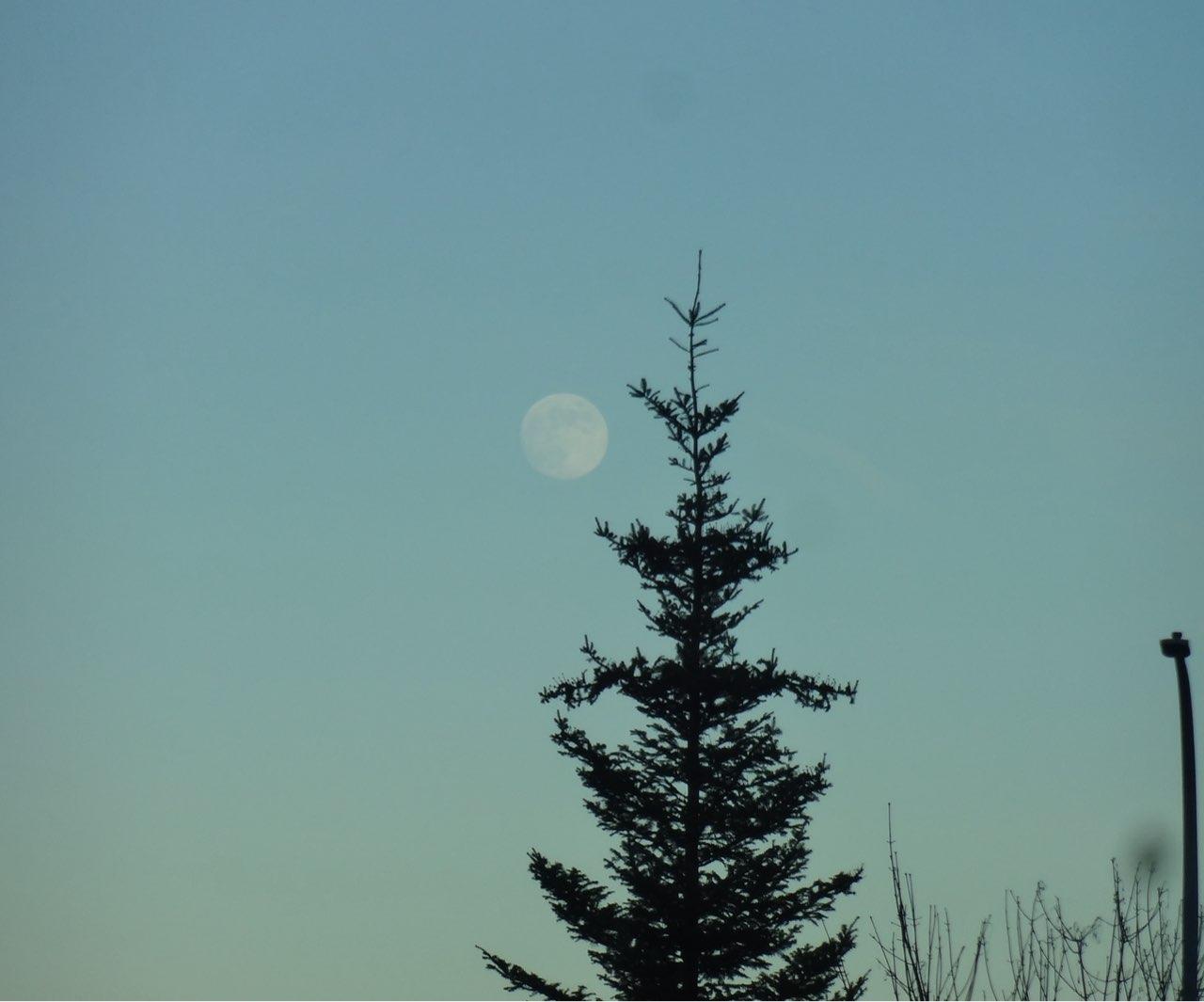 The Moon over Nanaimo, Canada — full moon, Lunar Day 17