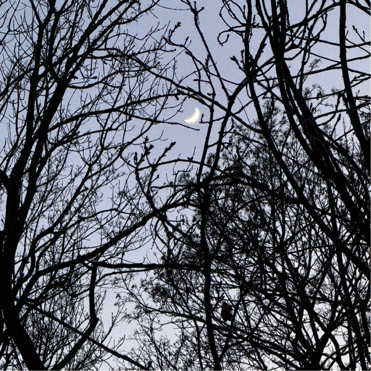 The Moon over Dettelbach, Deutschland — waxing crescent, Lunar Day 5