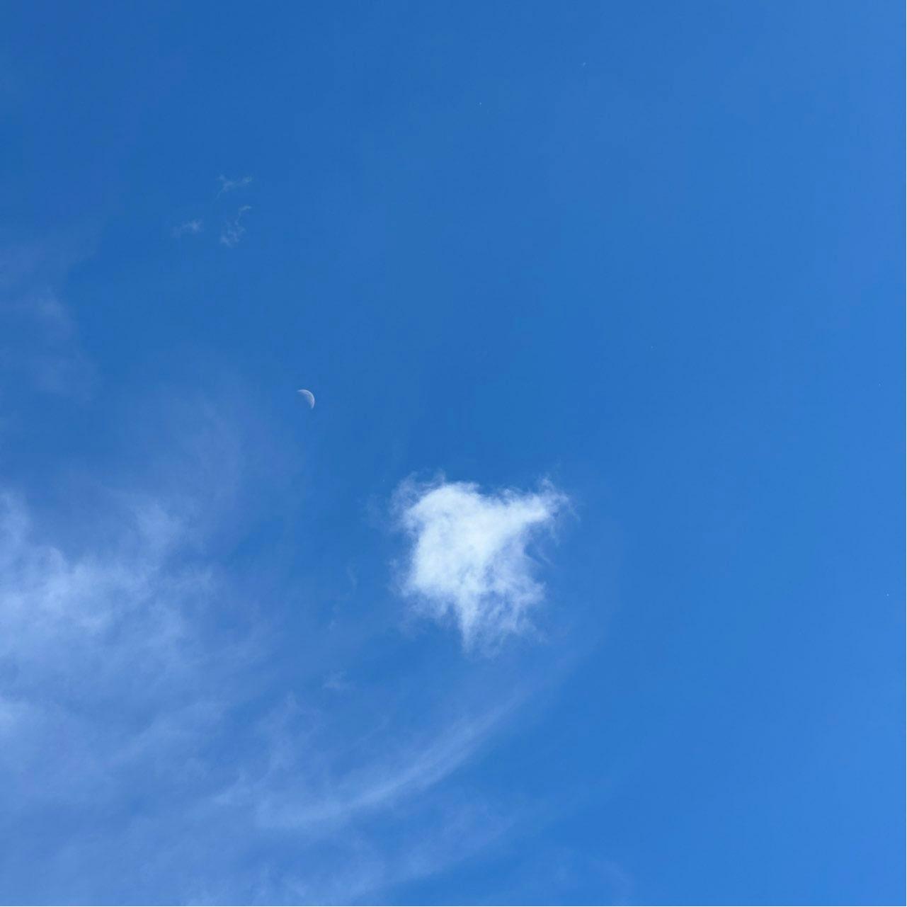 The Moon over Minsk, Belarus — first quarter, Lunar Day 7