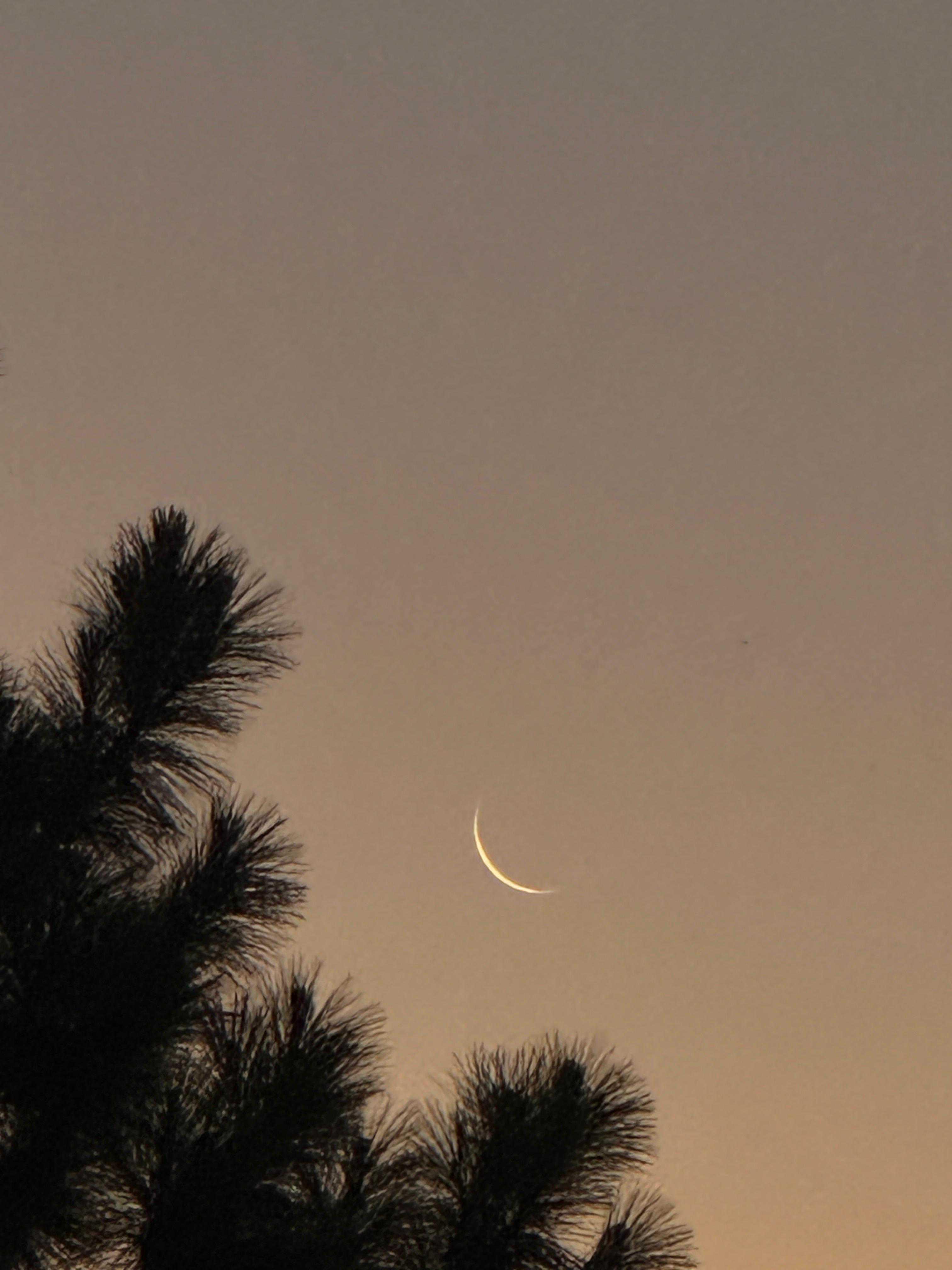 The Moon over Florencio Varela, Argentina — waxing gibbous, Lunar Day 10