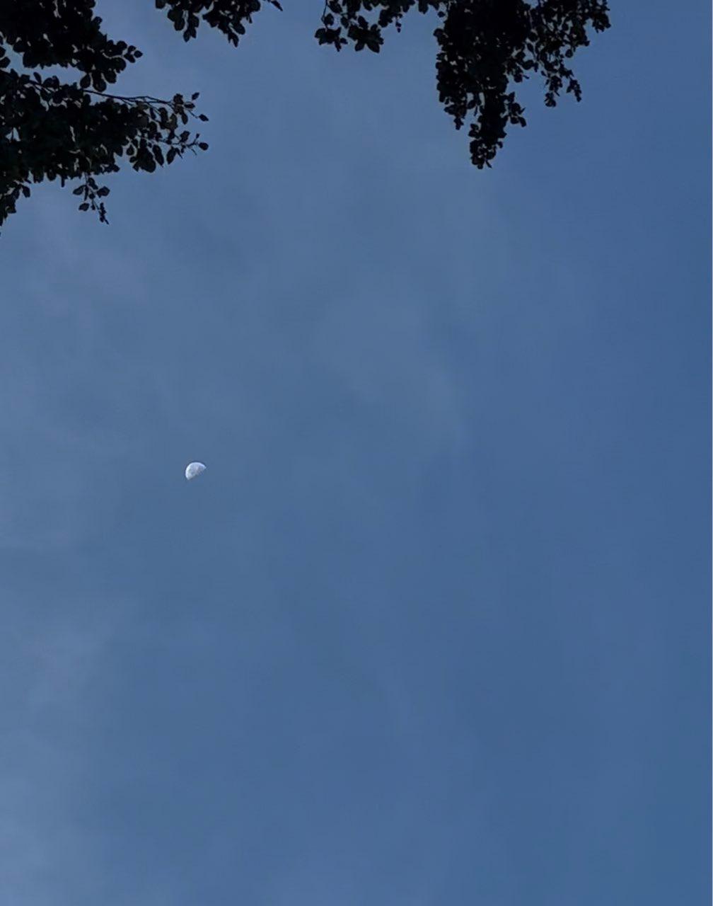 The Moon over Gränichen, Schweiz — last quarter, Lunar Day 22