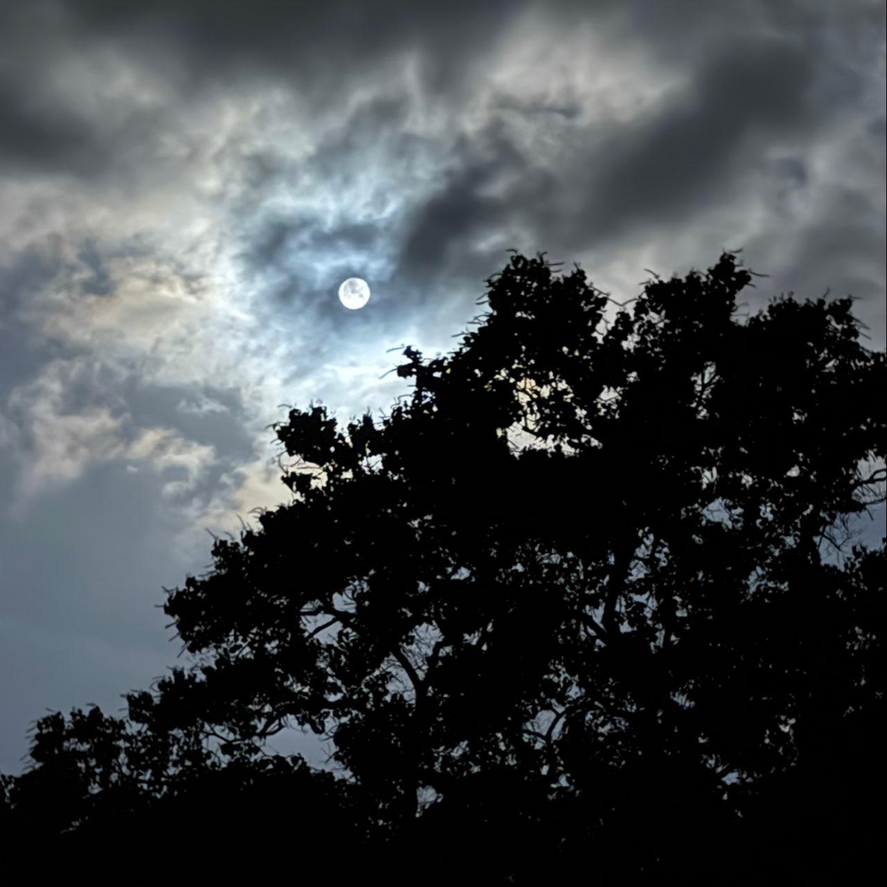 The Moon over Pensacola, United States — full moon, Lunar Day 16