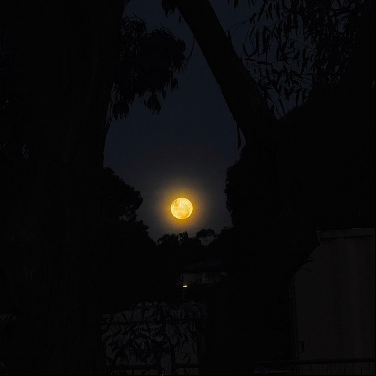 The Moon over Adelaide, Australia — full moon, Lunar Day 16