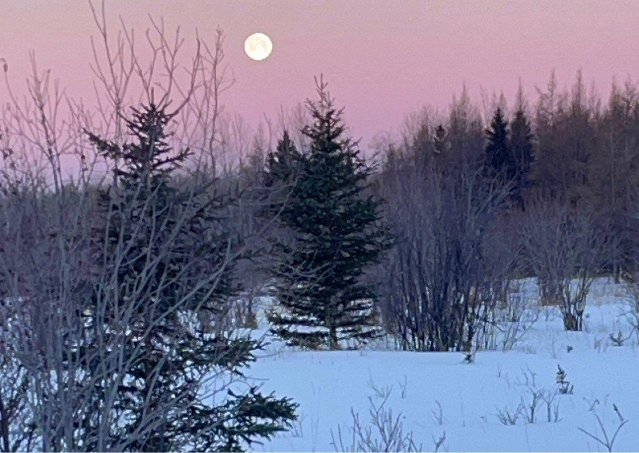 The Moon over Cochrane, Unorganized, North Part, Canada — full moon, Lunar Day 15