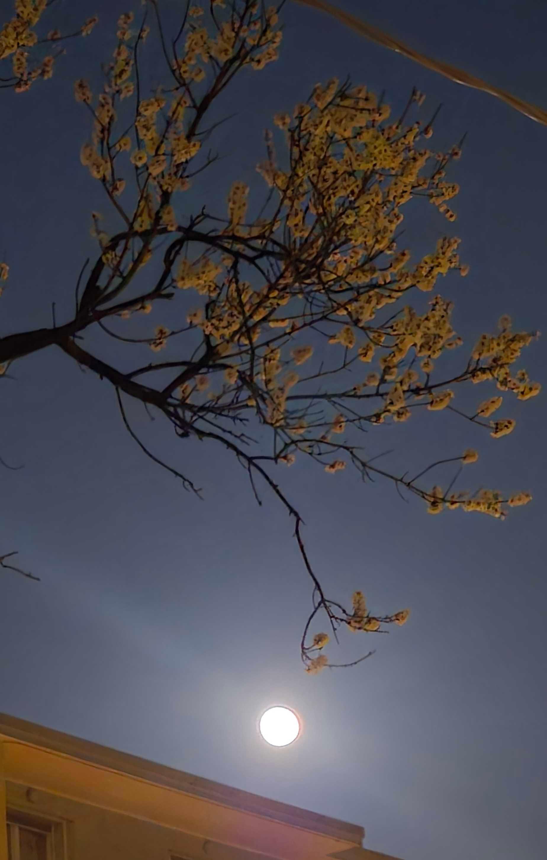 The Moon over Trieste, Italia — full moon, Lunar Day 15