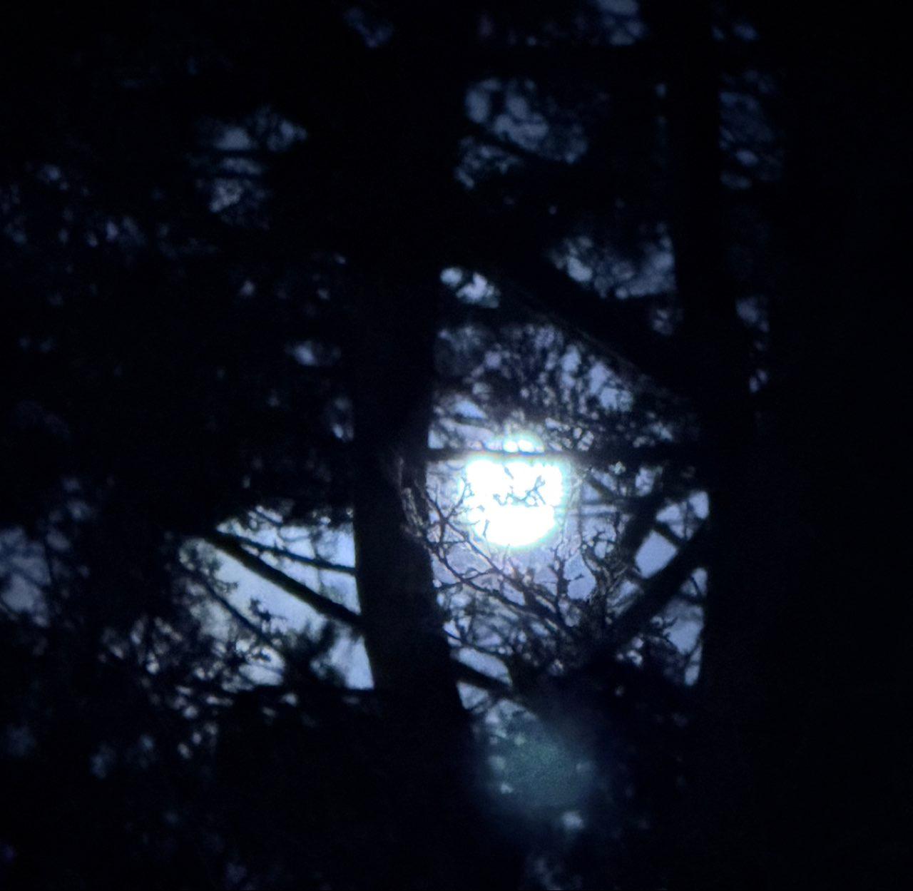The Moon over Dagenham, United Kingdom — full moon, Lunar Day 16