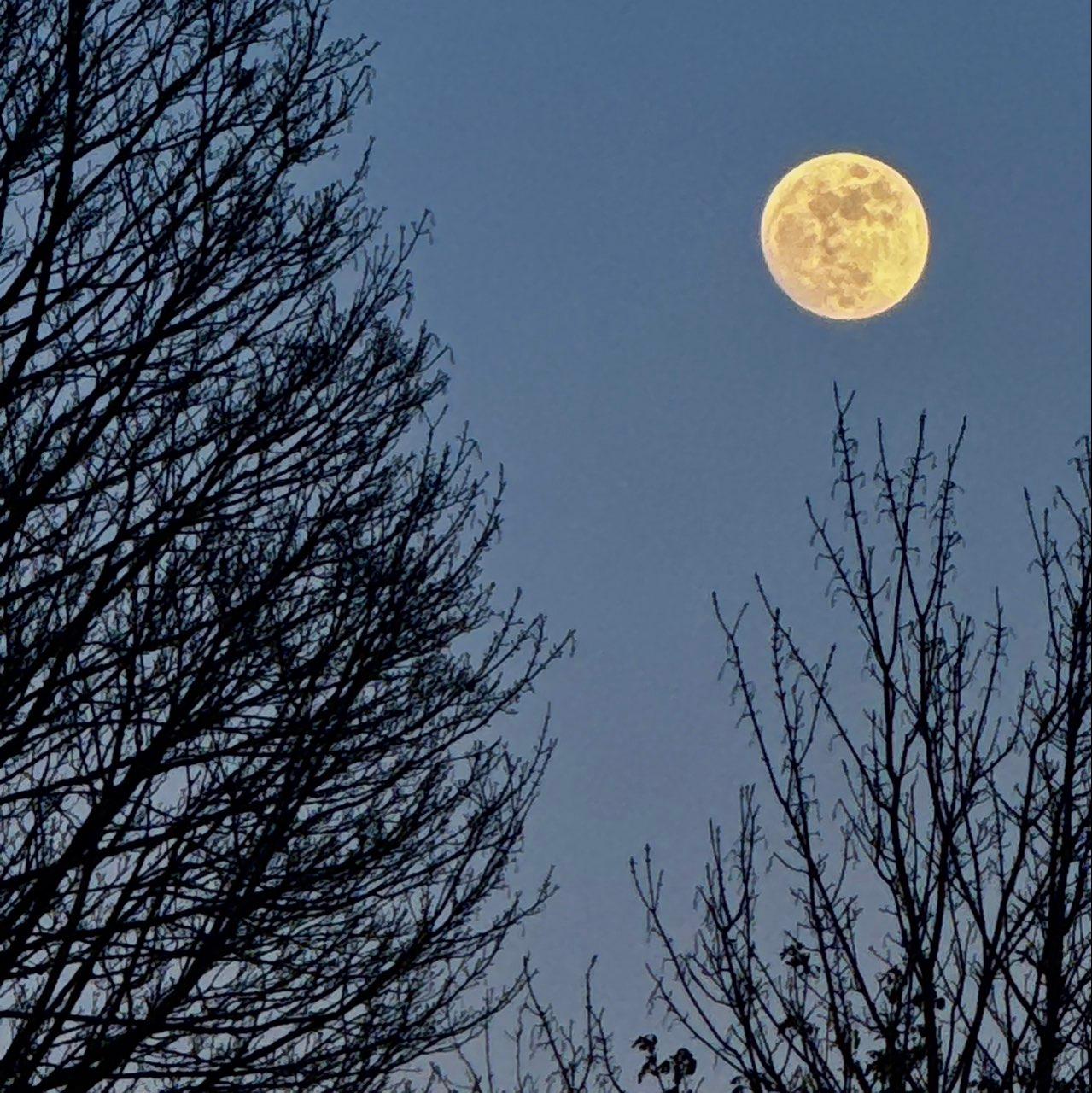 The Moon over Newport, Великобритания — full moon, Lunar Day 14