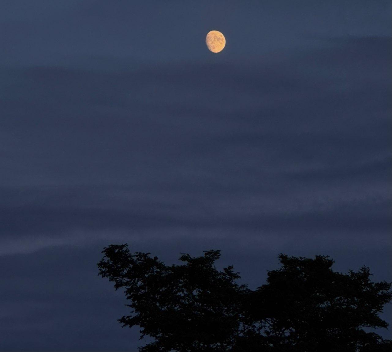 The Moon over Truro, United States — waxing gibbous, Lunar Day 12