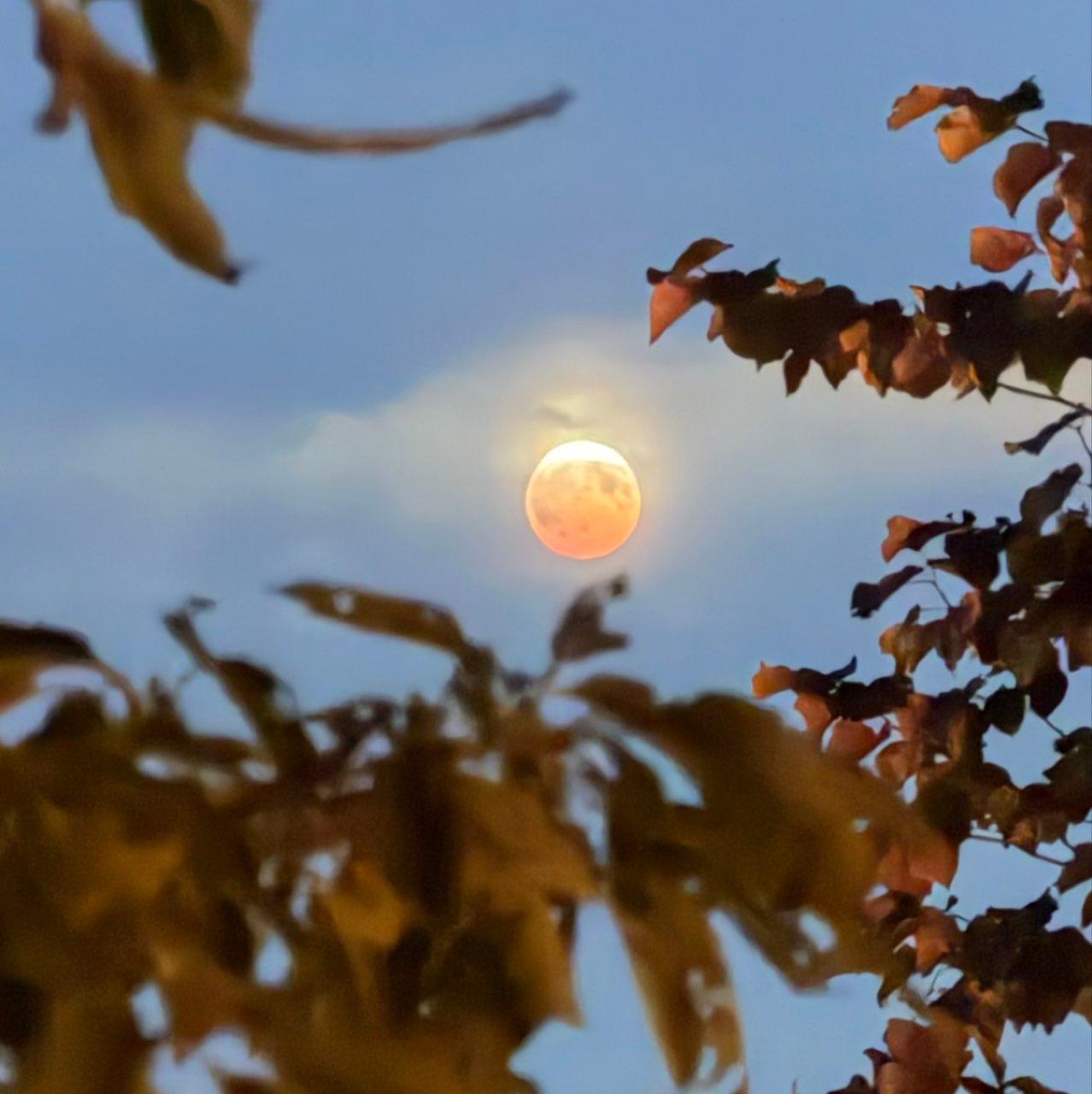 The Moon over Honolulu, United States — full moon, Lunar Day 15