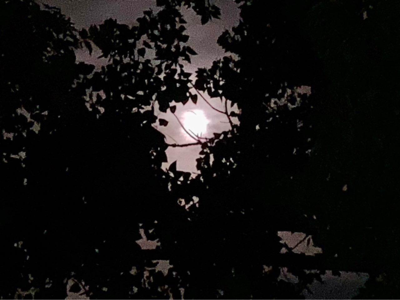 The Moon over Johannesburg South, South Africa — full moon, Lunar Day 15