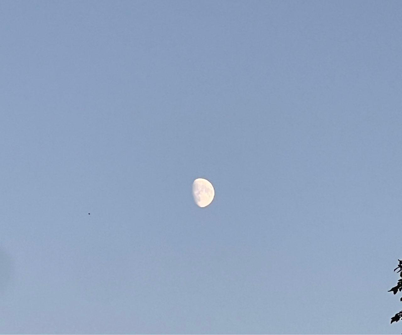 The Moon over Mühlhausen/Thüringen, Deutschland — waxing gibbous, Lunar Day 12