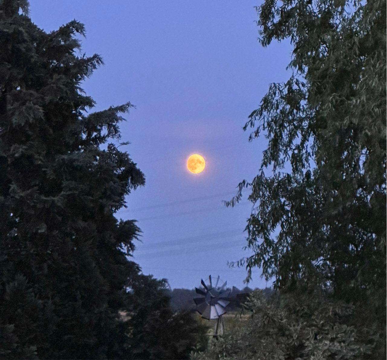 The Moon over Peine, Deutschland — full moon, Lunar Day 15