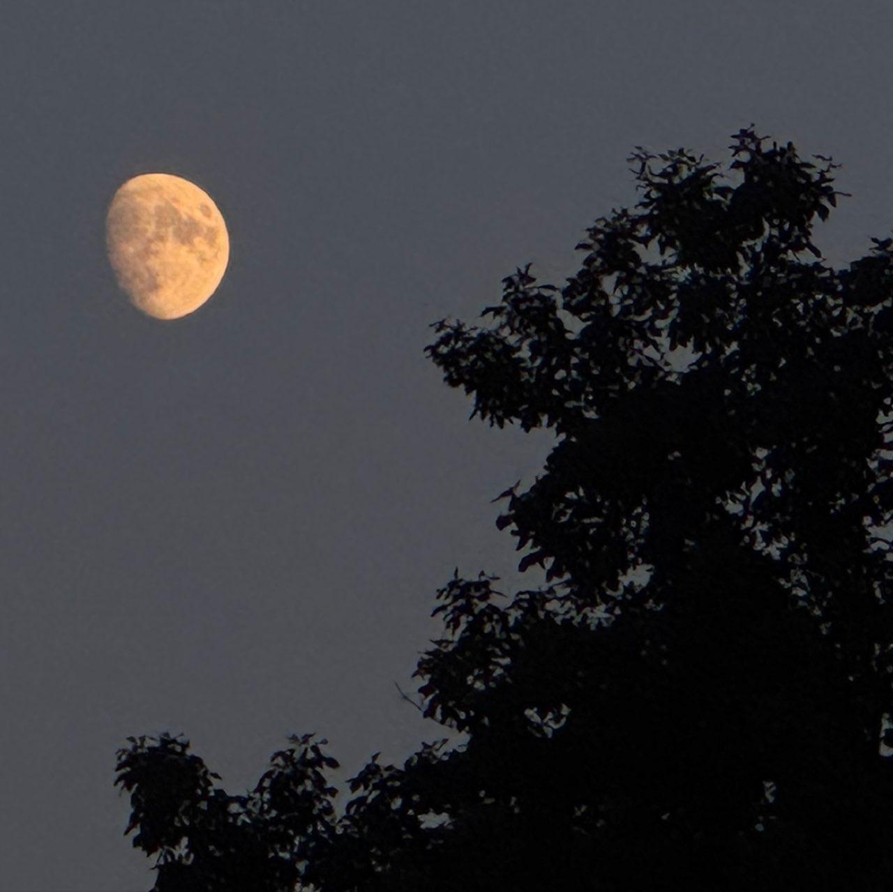 The Moon over Solon, United States — waxing gibbous, Lunar Day 12