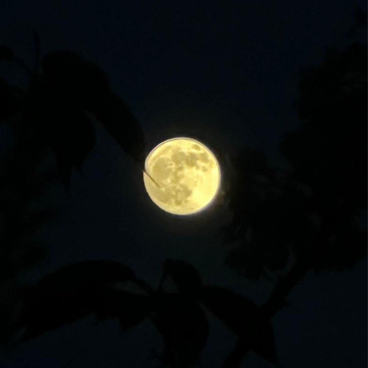 The Moon over The Hague, Netherlands — full moon, Lunar Day 15