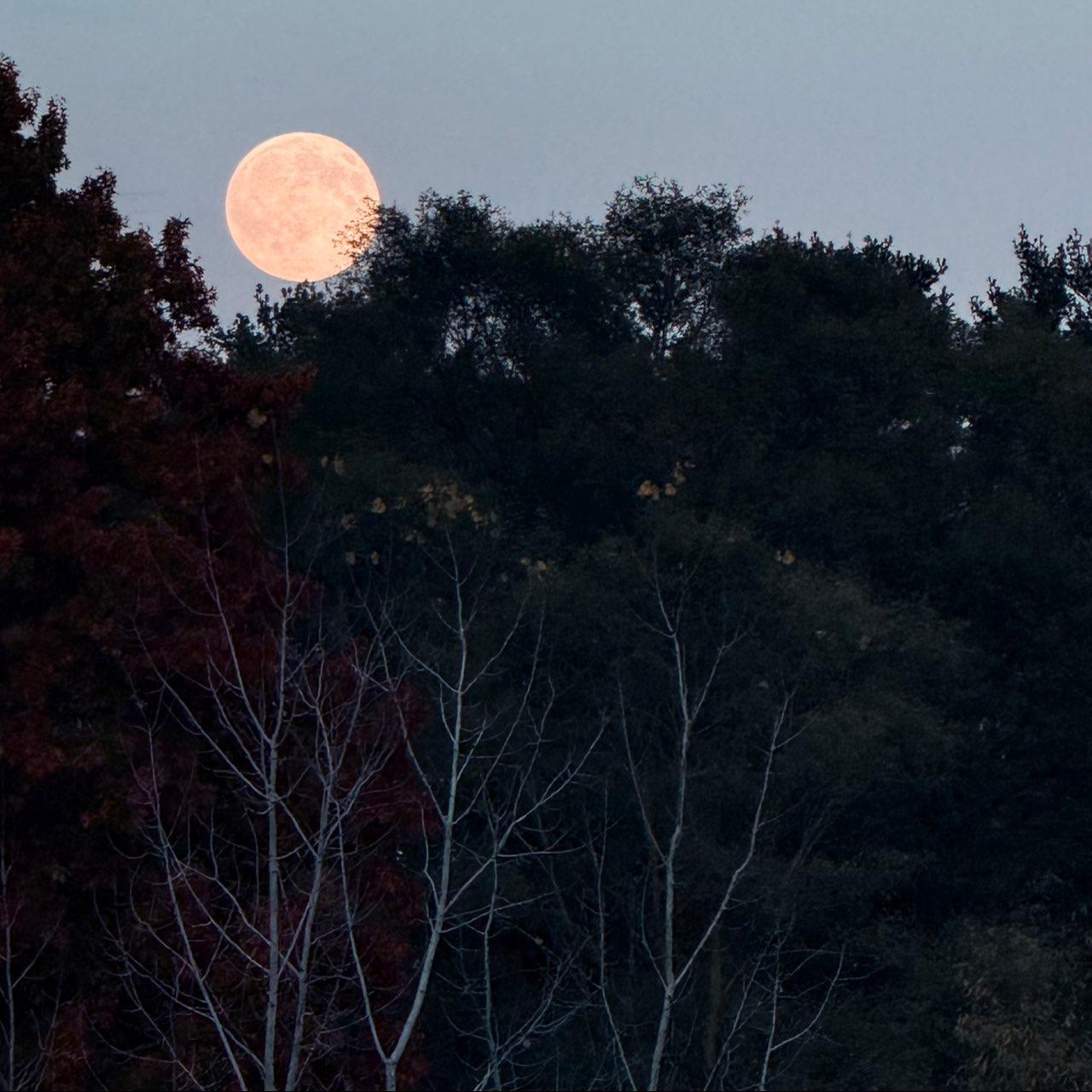 The Moon over Allendale, United States — full moon, Lunar Day 16