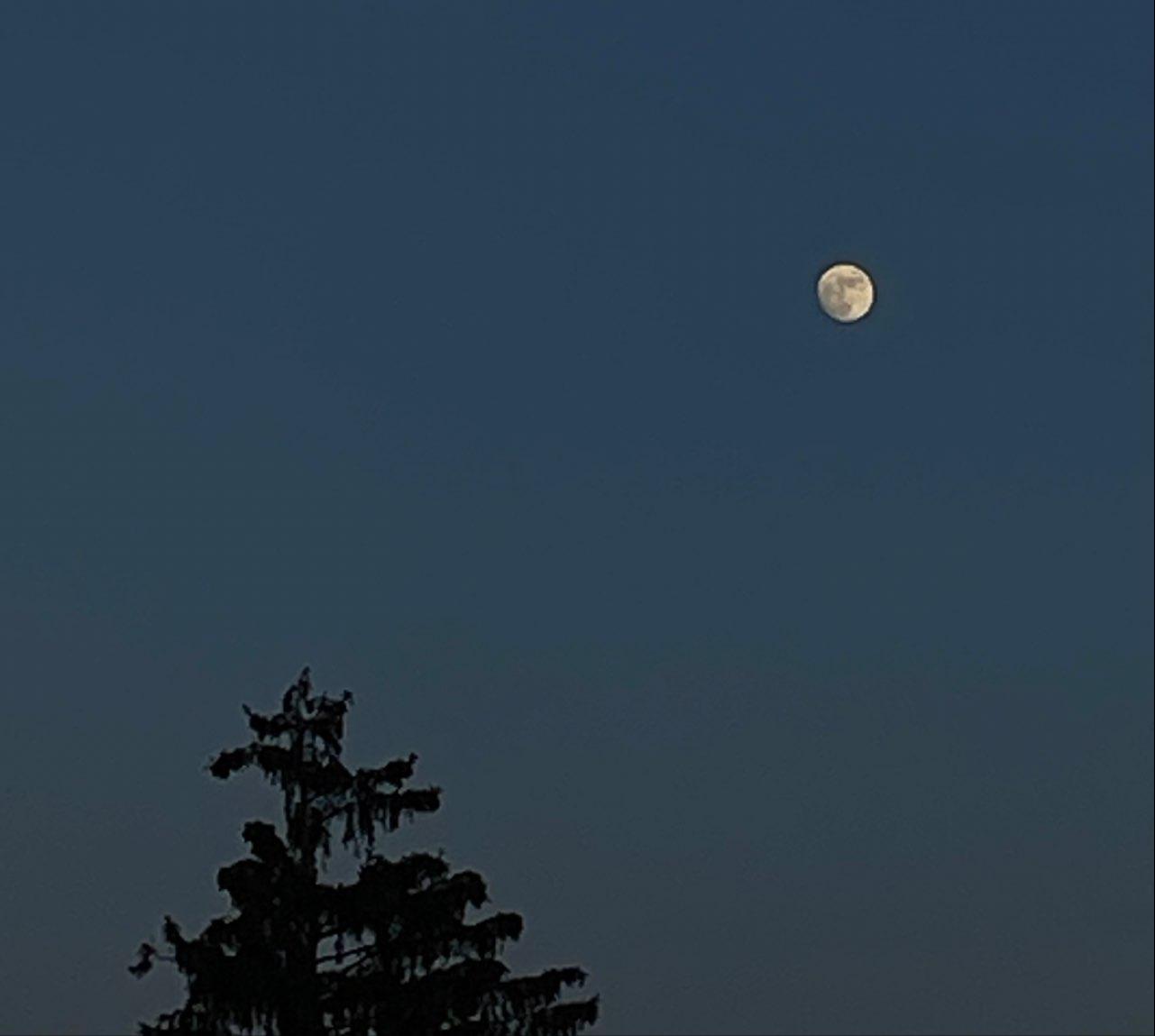 The Moon over Menden (Sauerland), Deutschland — full moon, Lunar Day 14