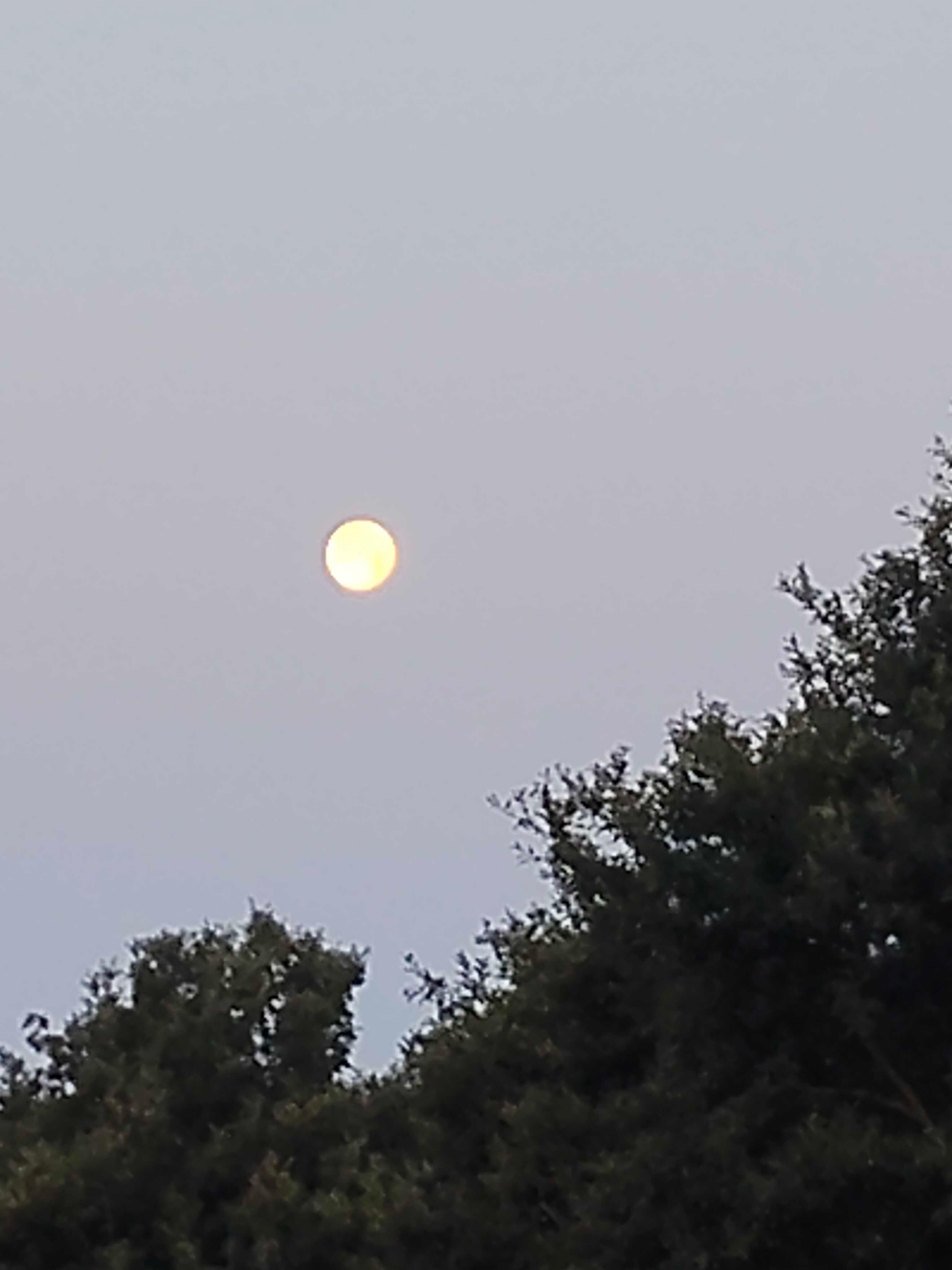 The Moon over Carraia, Italia — full moon, Lunar Day 17