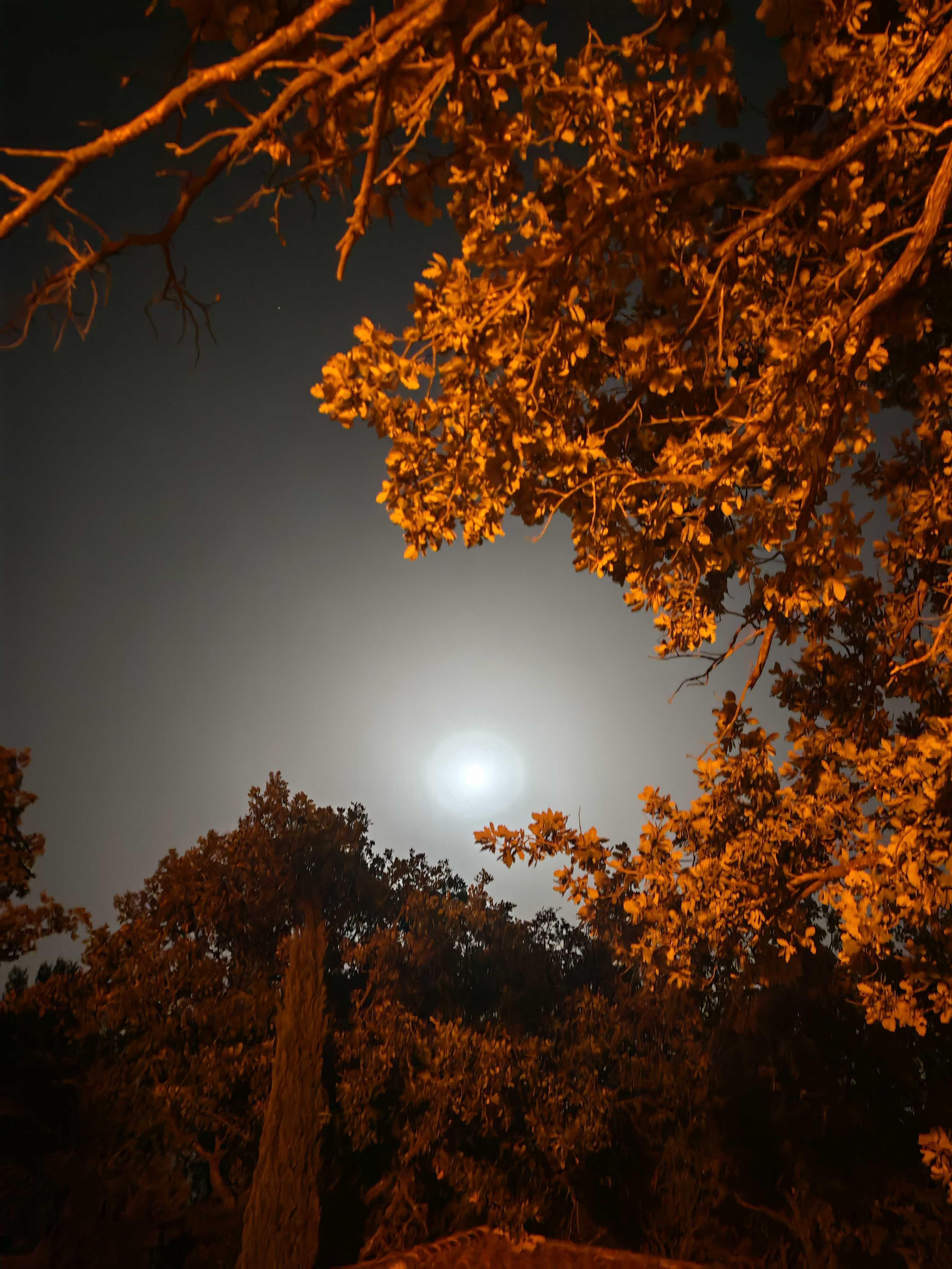 The Moon over Peypin, France — full moon, Lunar Day 15