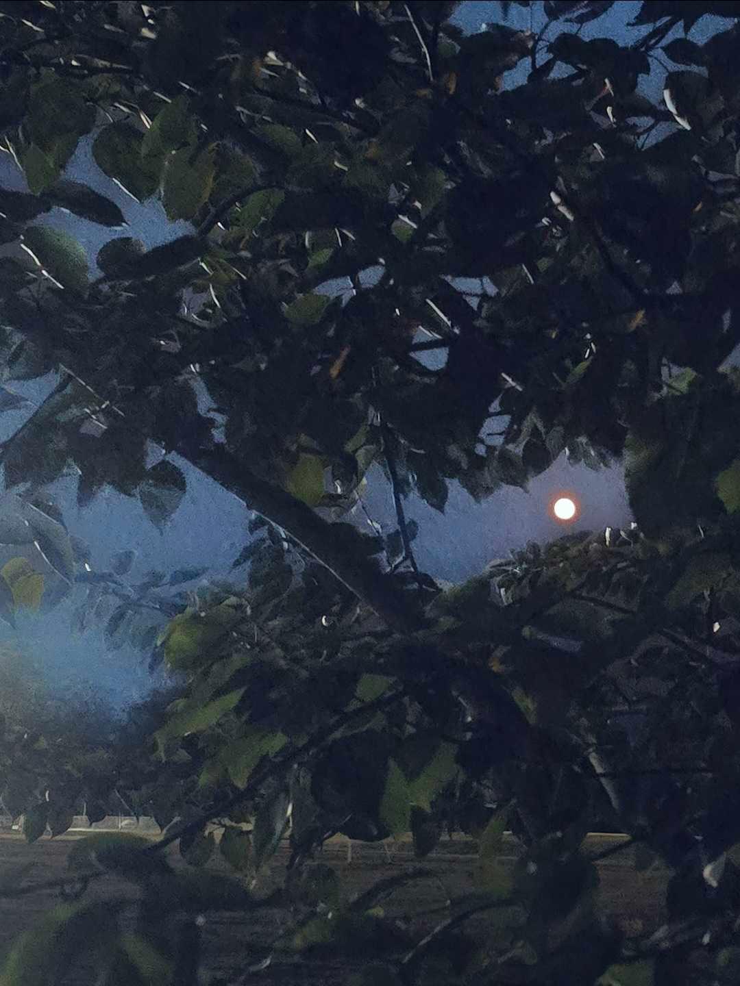 The Moon over Bathurst, Canada — full moon, Lunar Day 16