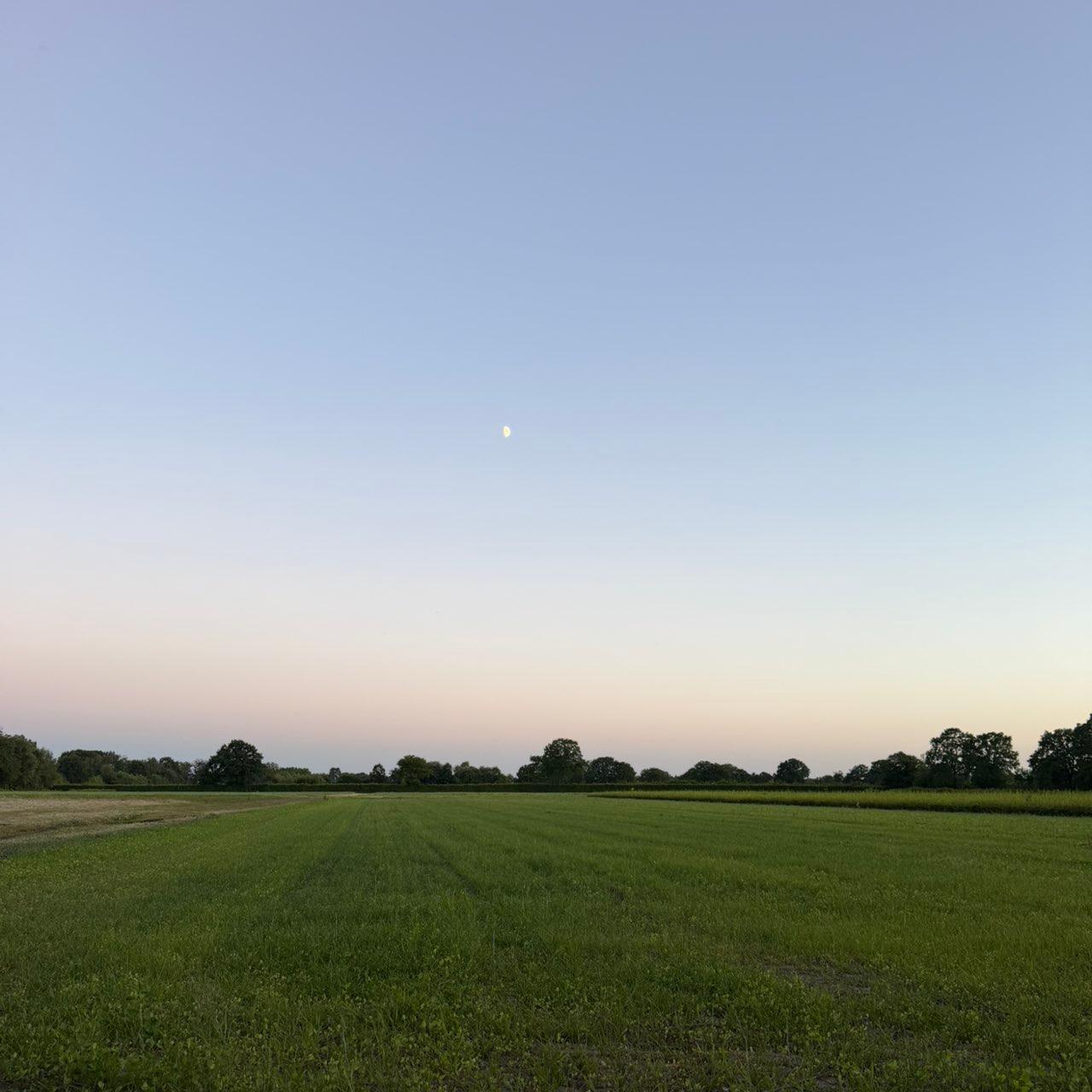 The Moon over Halstenbek, Deutschland — waxing gibbous, Lunar Day 9