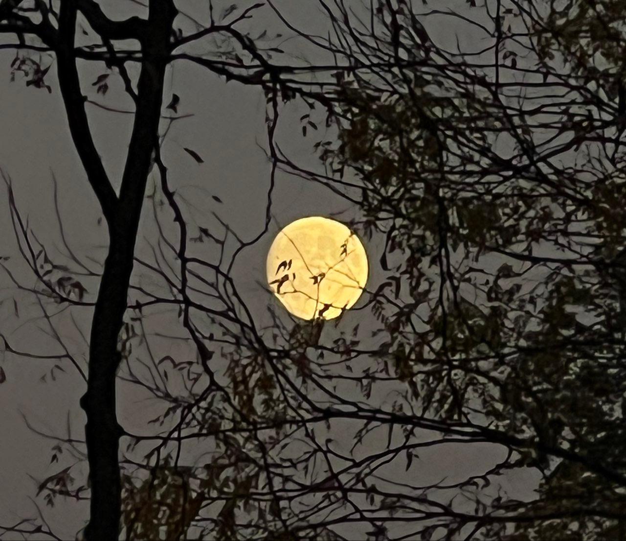 The Moon over Suresnes, France — full moon, Lunar Day 15