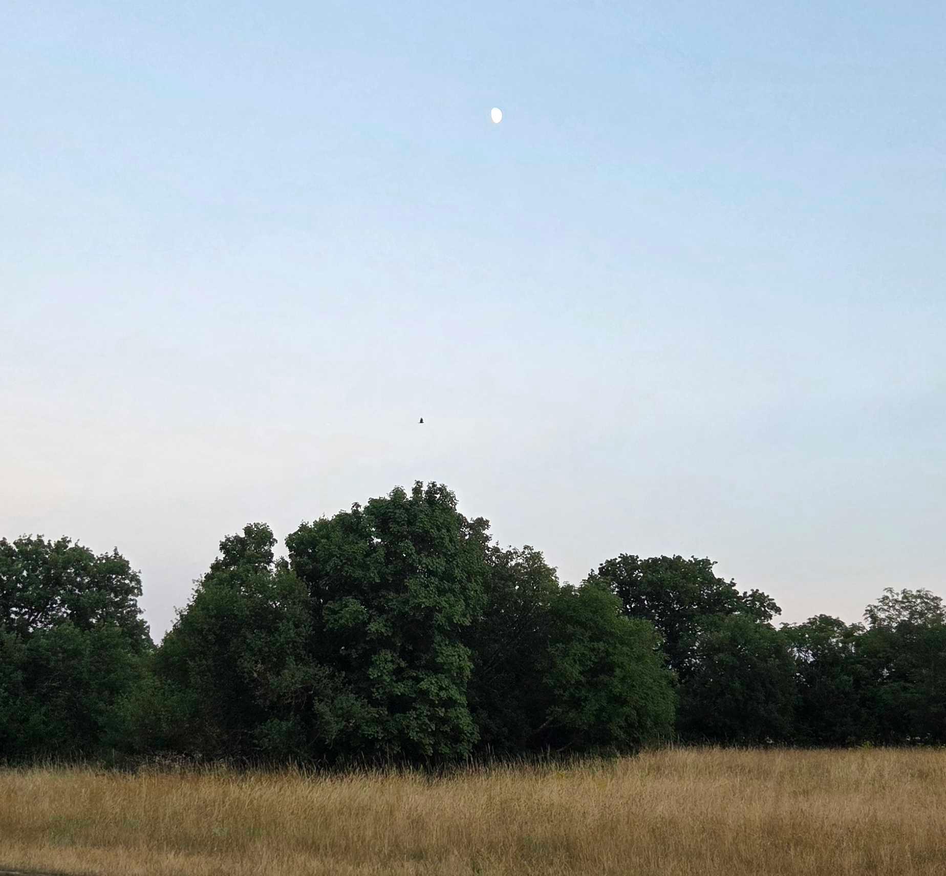 The Moon over Trieste, Italia — waxing gibbous, Lunar Day 11