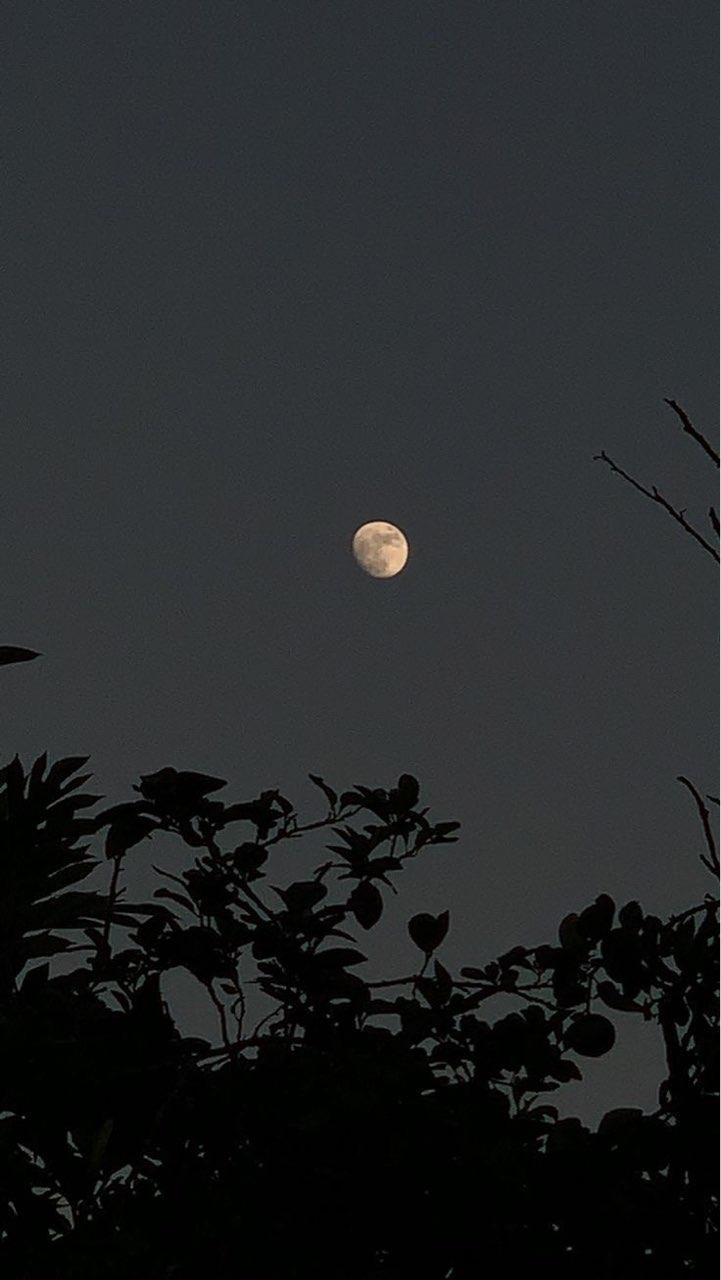 The Moon over Lázaro Cárdenas, México — waning gibbous, Lunar Day 17