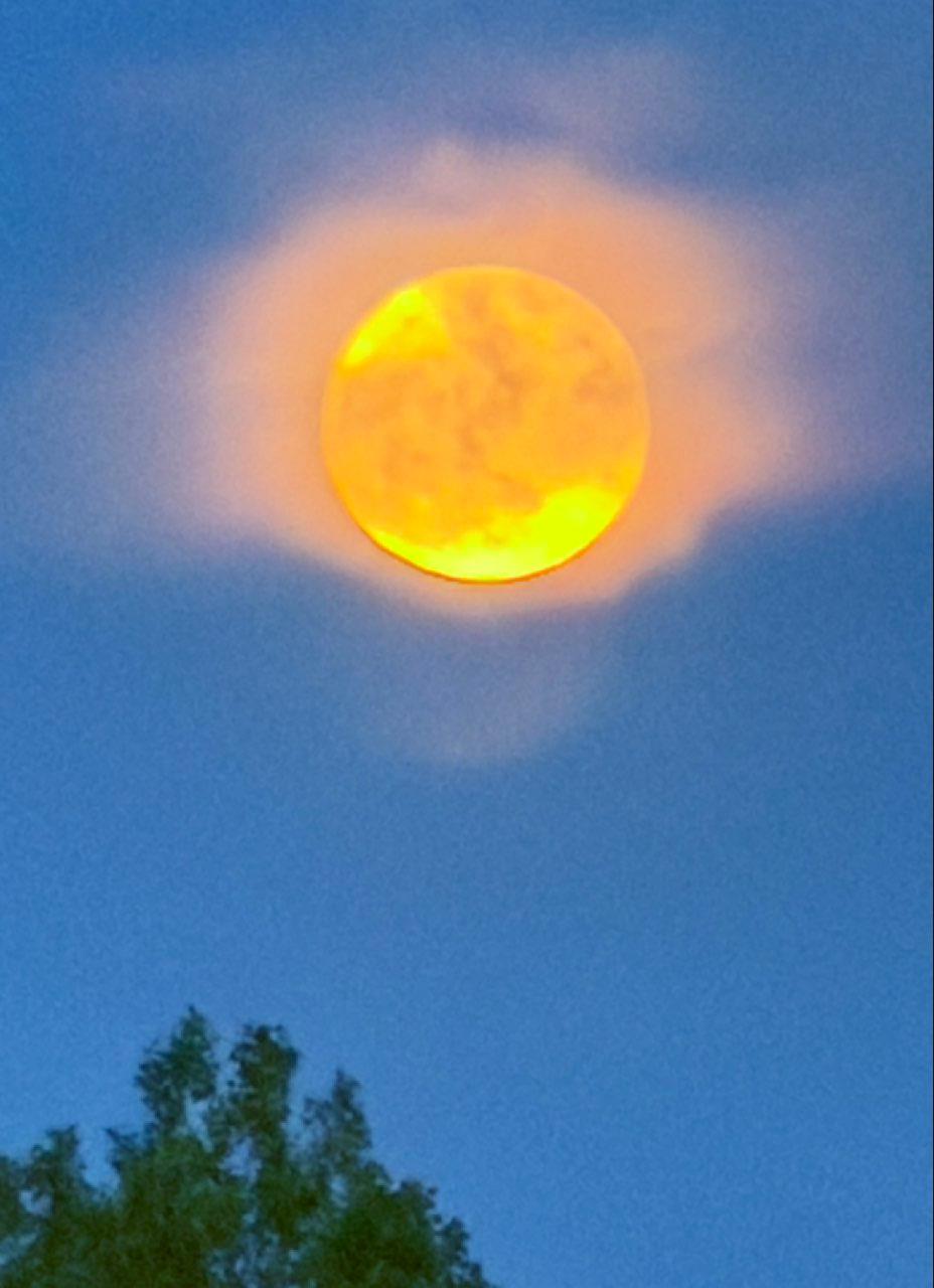 The Moon over Littleton, United States — full moon, Lunar Day 15