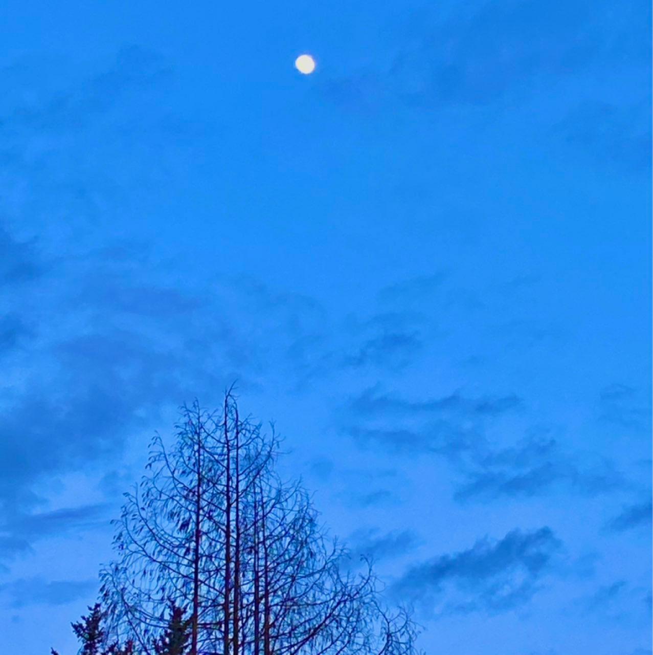 The Moon over Berlin, Deutschland — waxing gibbous, Lunar Day 13