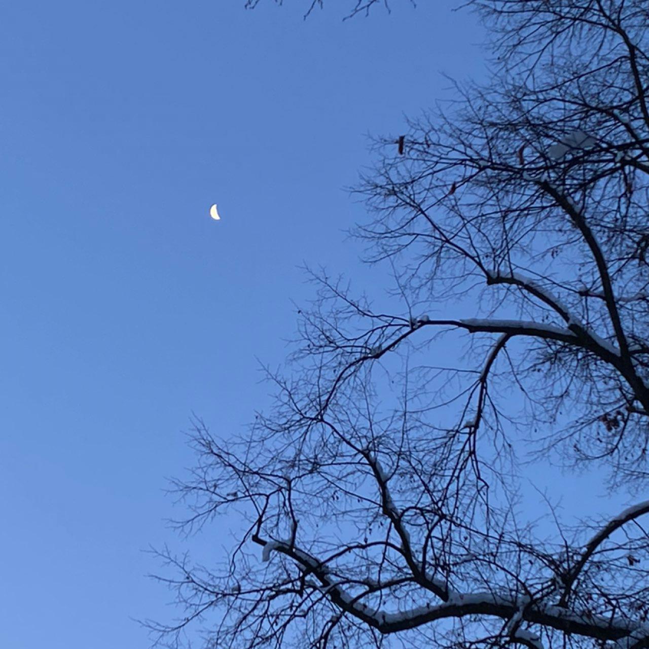 The Moon over Poděbrady, Czechia — last quarter, Lunar Day 23