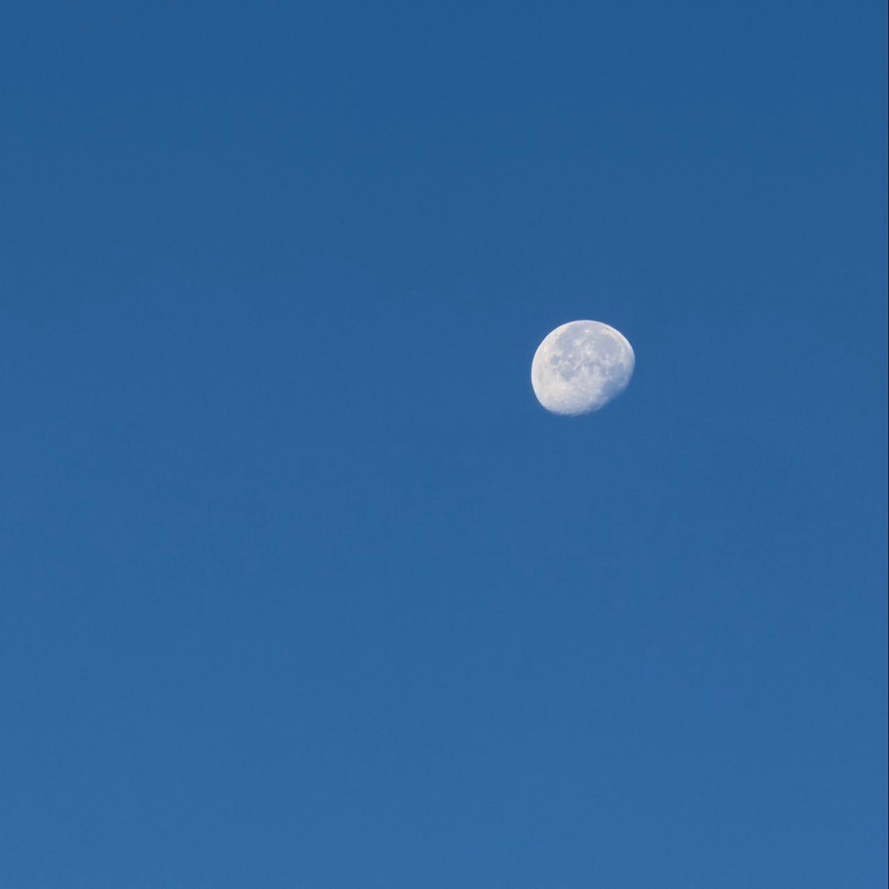 The Moon over Halstenbek, Deutschland — waning gibbous, Lunar Day 20