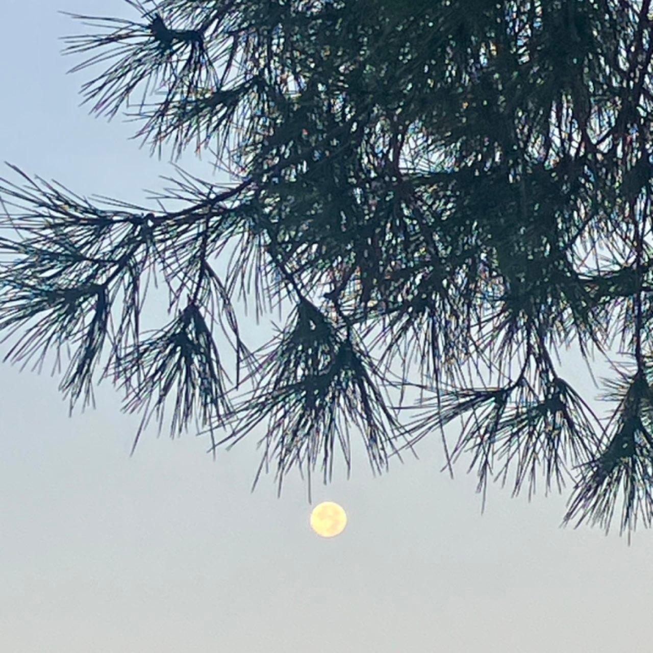 The Moon over Paterna, España — full moon, Lunar Day 17