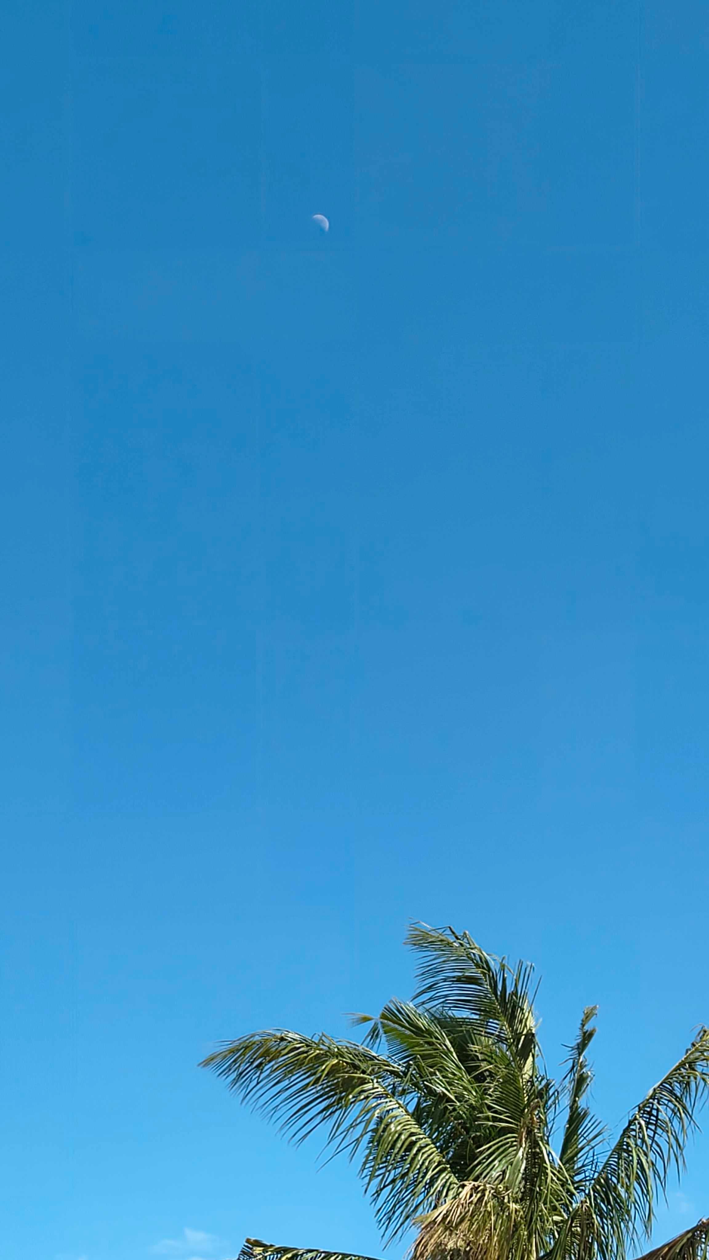 The Moon over Puducherry, India — first quarter, Lunar Day 8