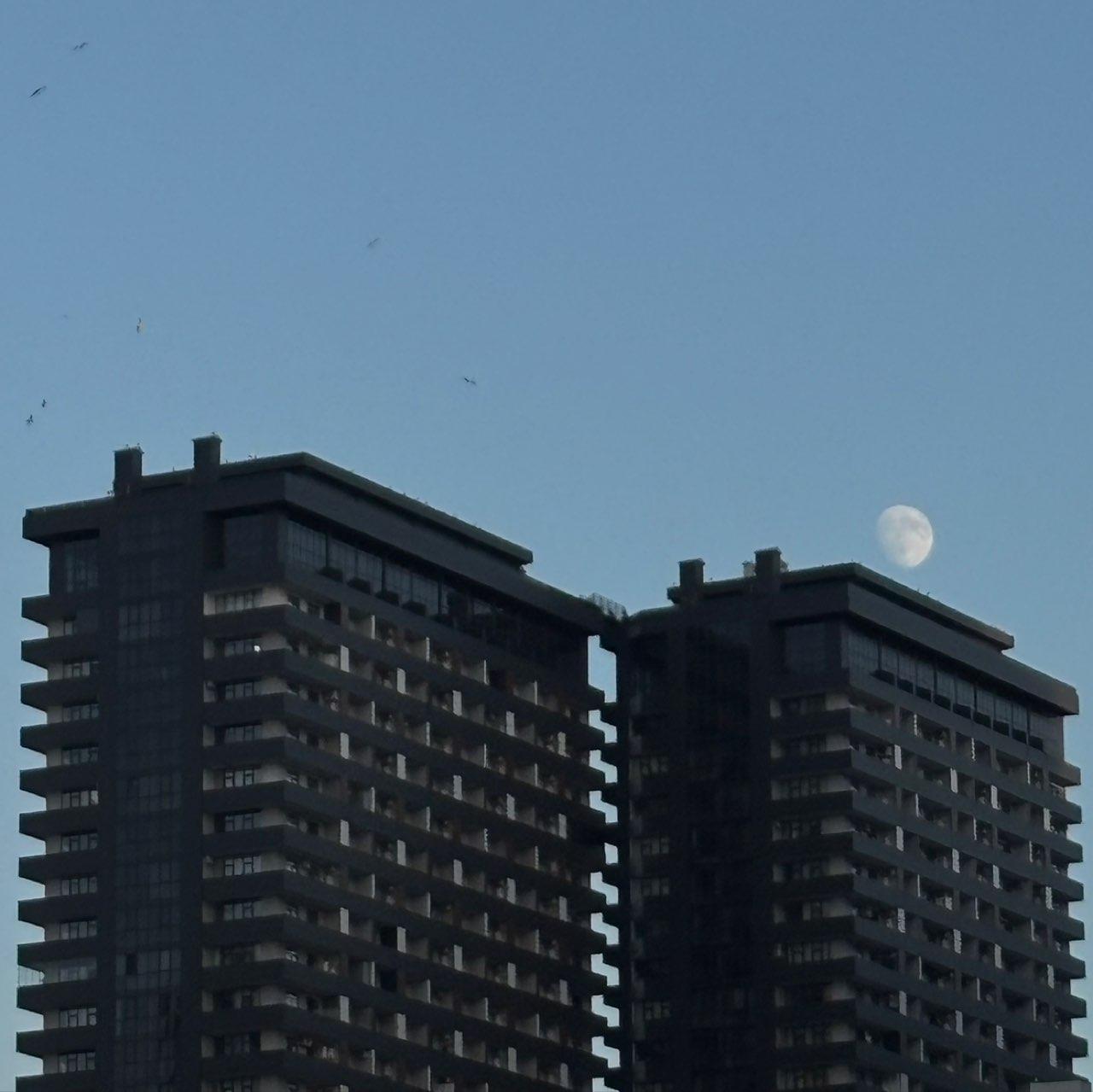 The Moon over Batumi, Georgia — waxing gibbous, Lunar Day 13