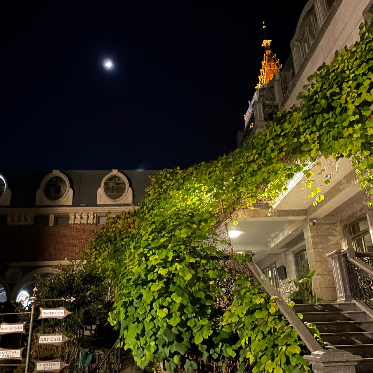 The Moon over Batumi, Georgia — first quarter, Lunar Day 9