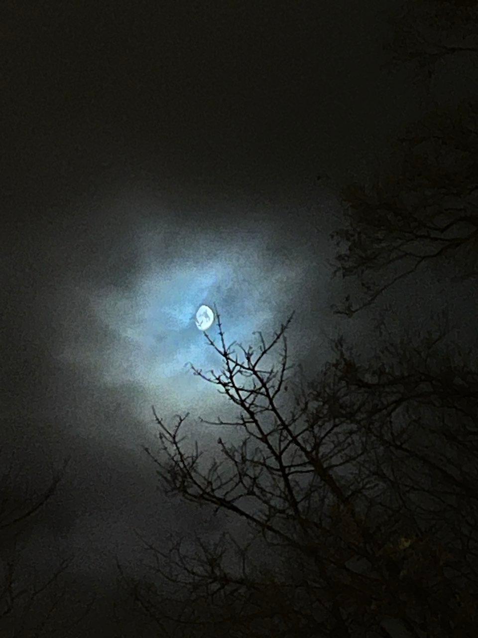 The Moon over Midleton, Ireland — waxing gibbous, Lunar Day 10