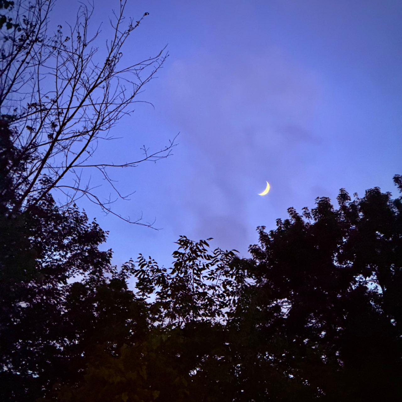 The Moon over Toronto, Canada — first quarter, Lunar Day 6