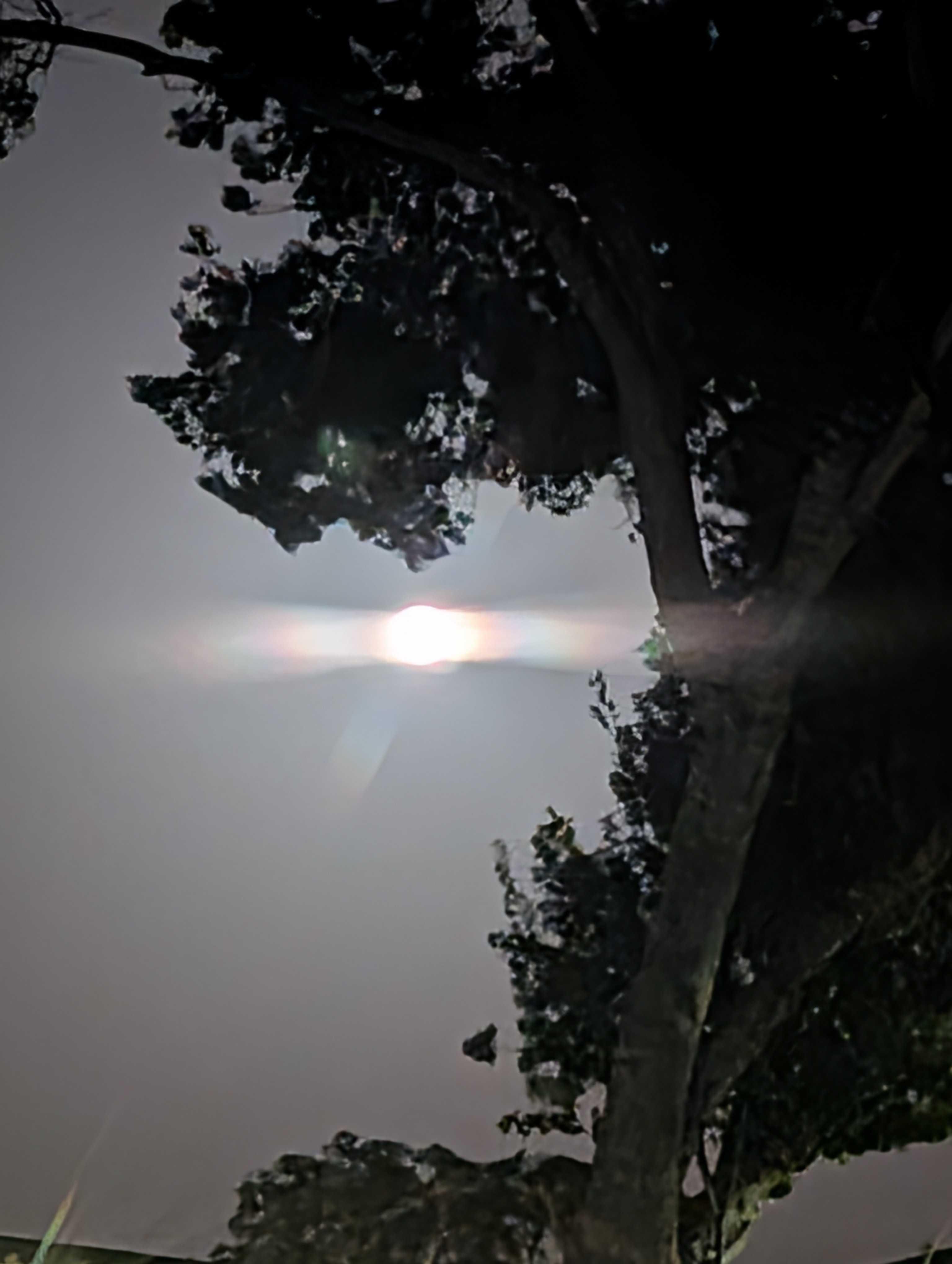 The Moon over Hondo, United States — full moon, Lunar Day 16